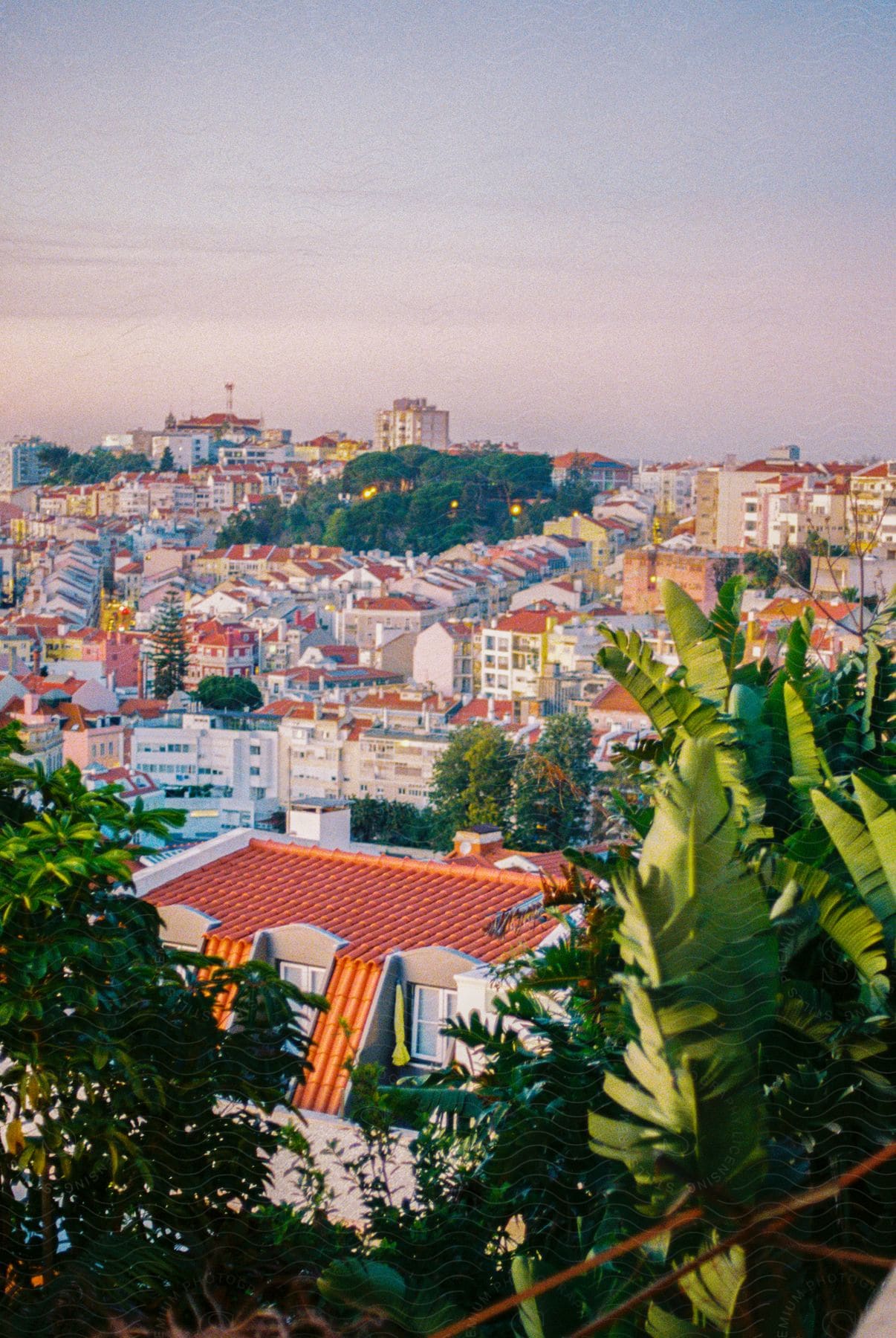 Apartments and houses on a sunny day in lisbon portugal