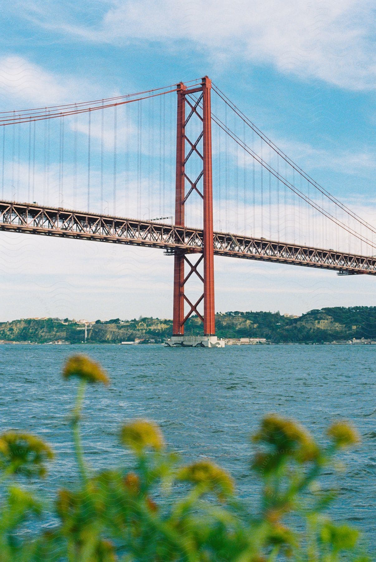 The large red bridge seen from behind plants on the ground