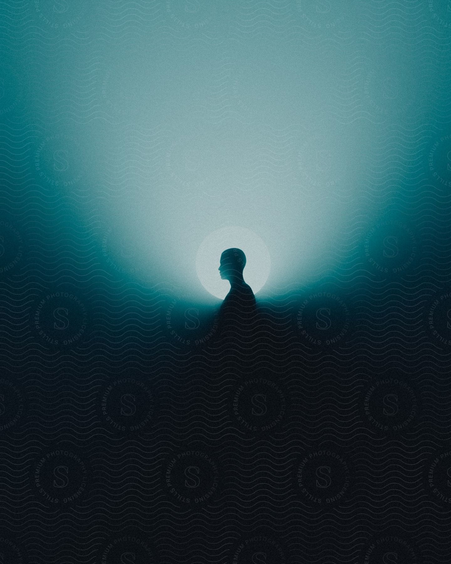 Silhouette Of A Person Against A Circular Light Source