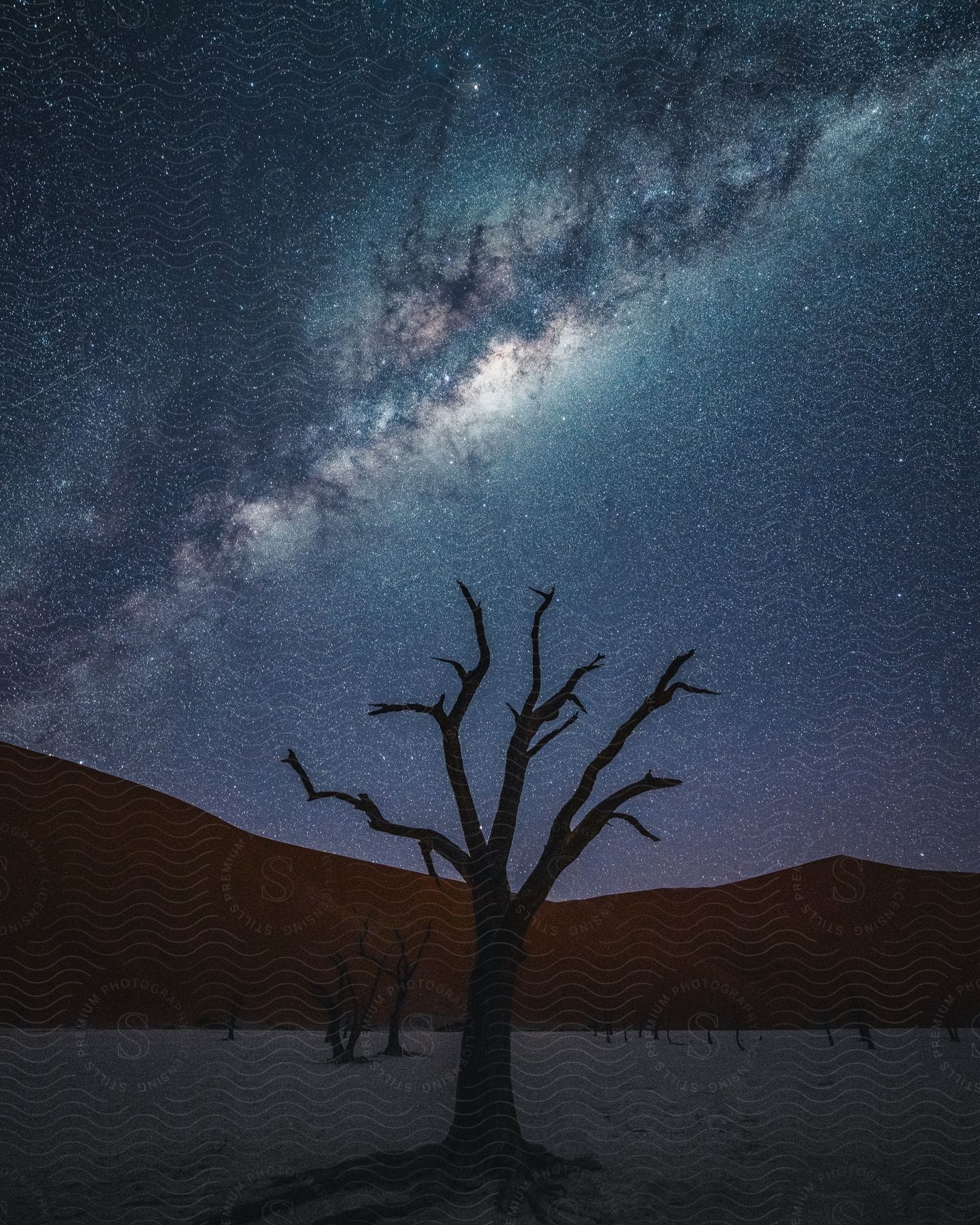 A starry sky over a natural landscape with trees and clouds