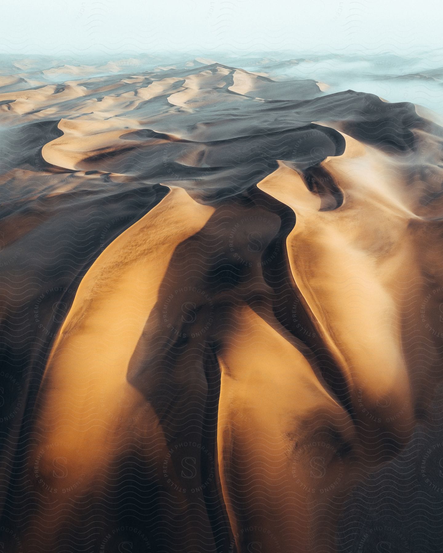 A barren desert landscape with sand dunes in namibia