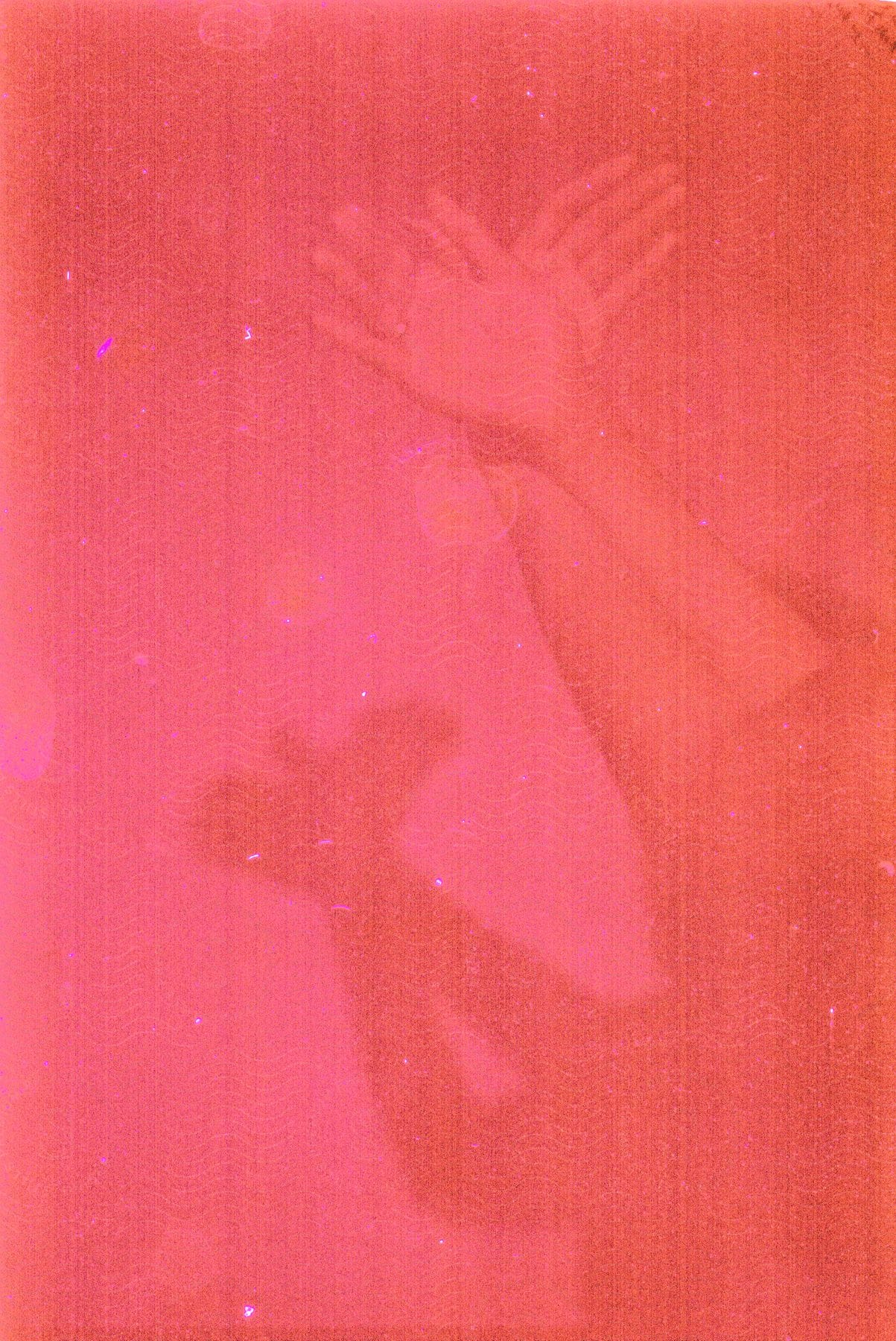 Closeup of a womans hands casting shadows on a wall with overexposed lighting