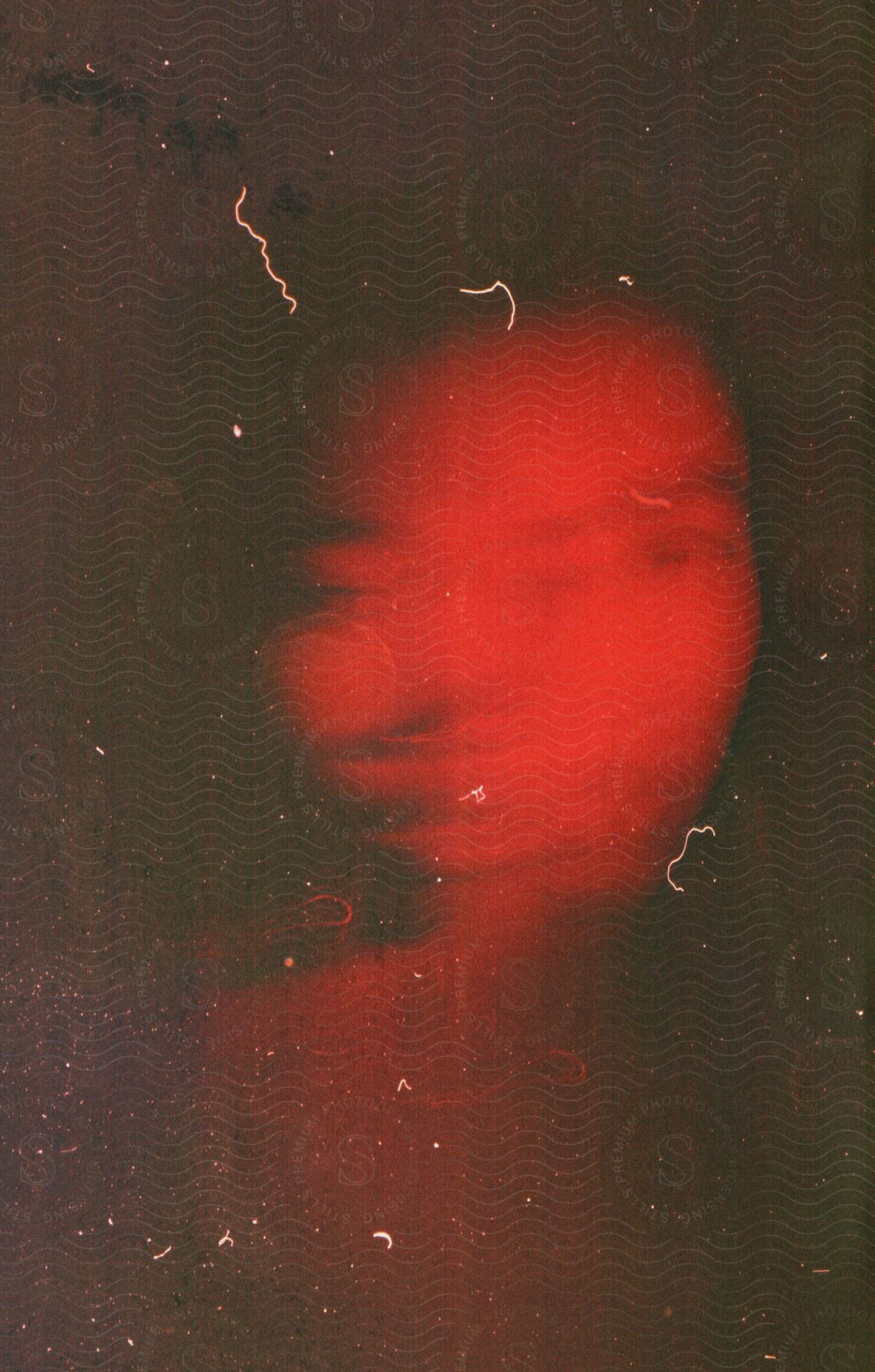 A blurry closeup of a woman under red lights looking at the camera
