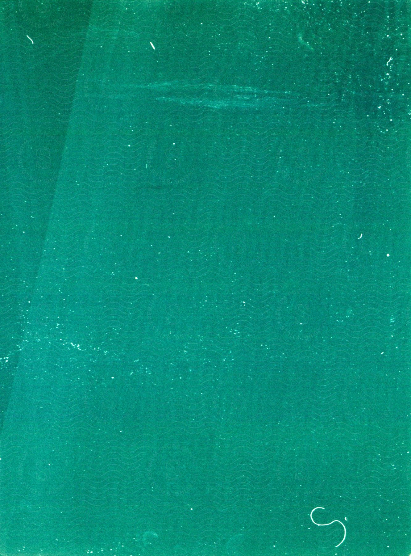 Abstract shot of a textured green surface