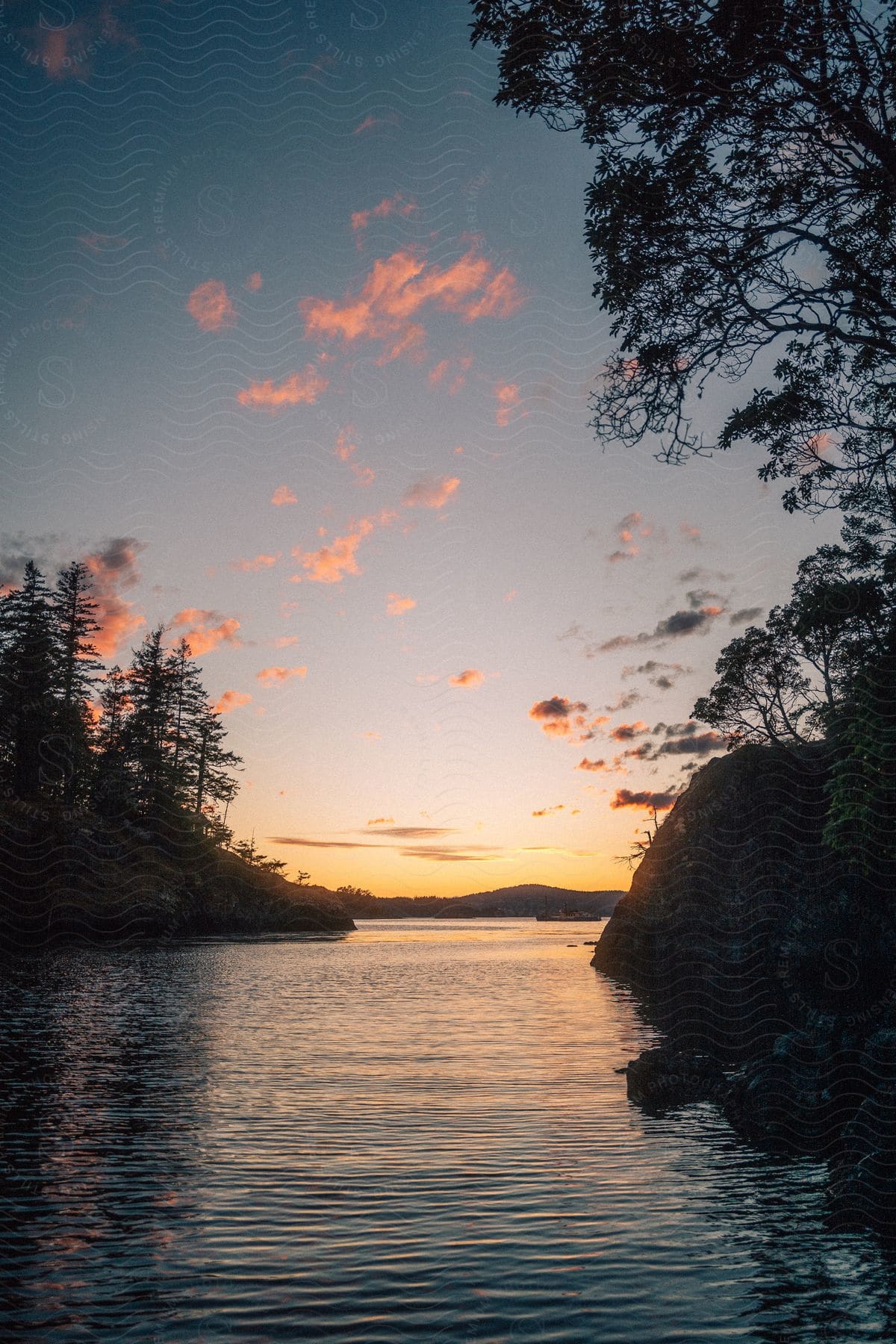 A river at dawn surrounded by tall trees and a colorful cloud