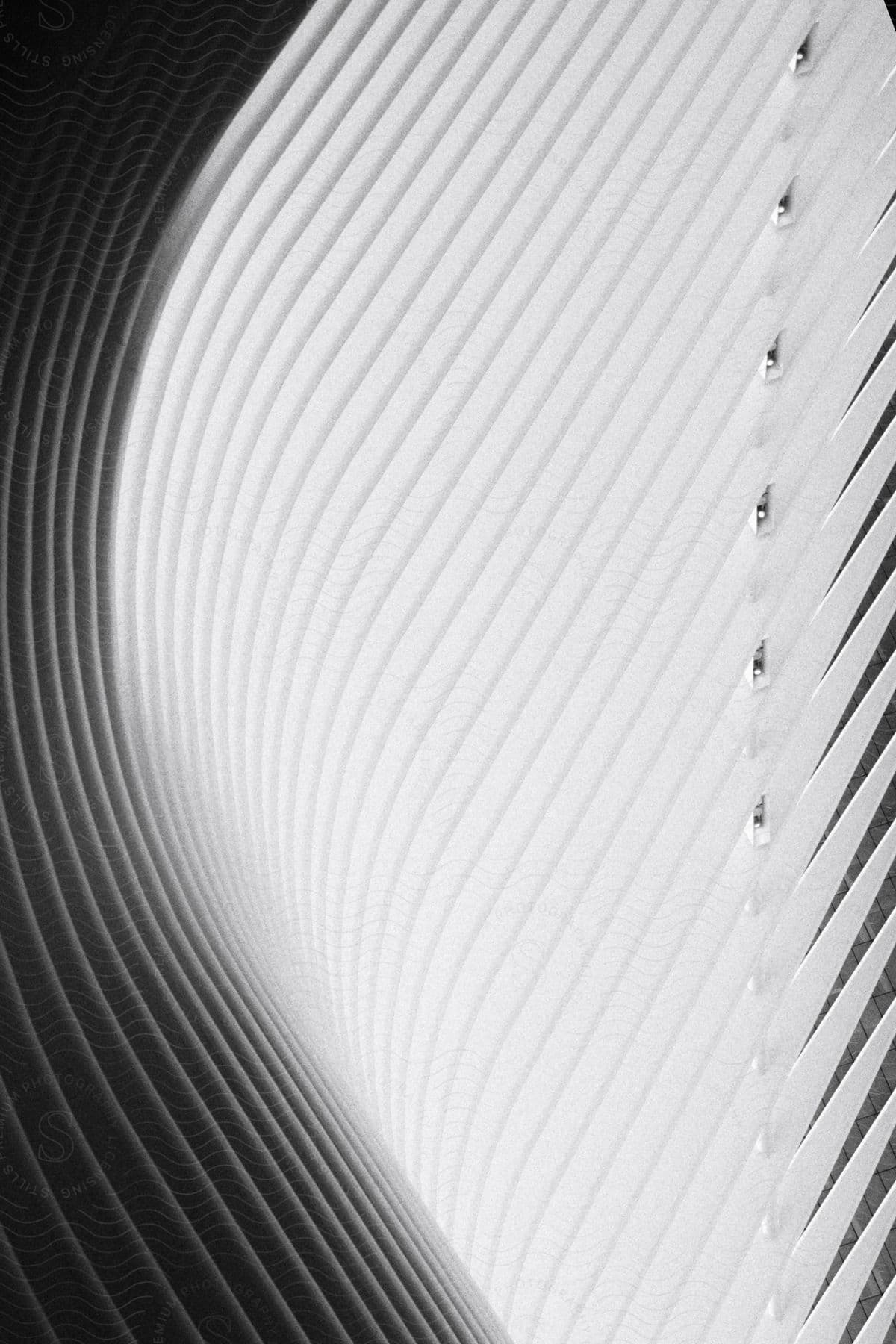 Stock photo of black and white shot of scaling texture under different lights in nyc