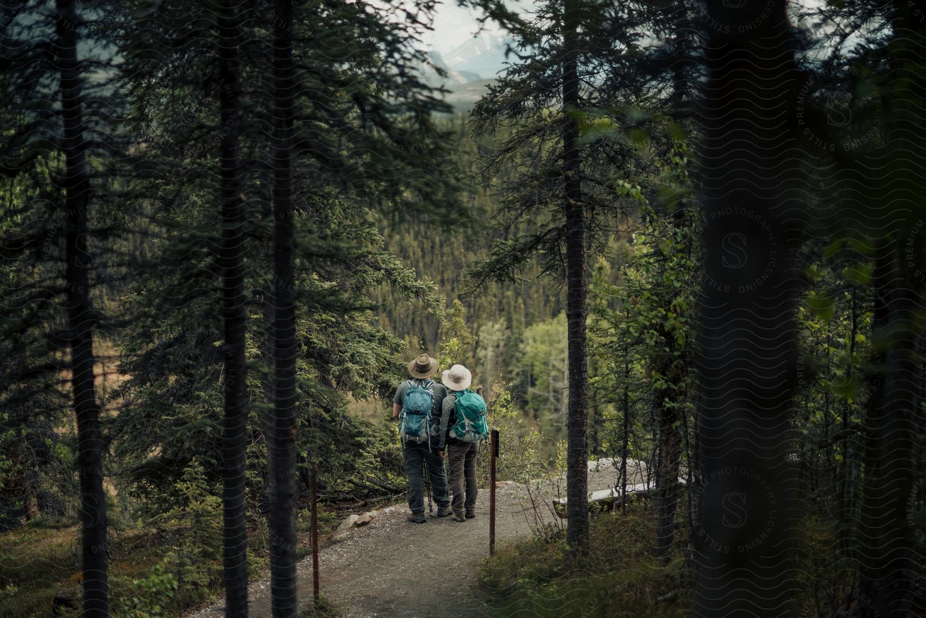 Two hikers wearing sunhats and backpacks standing on a mountain trail looking at the forest