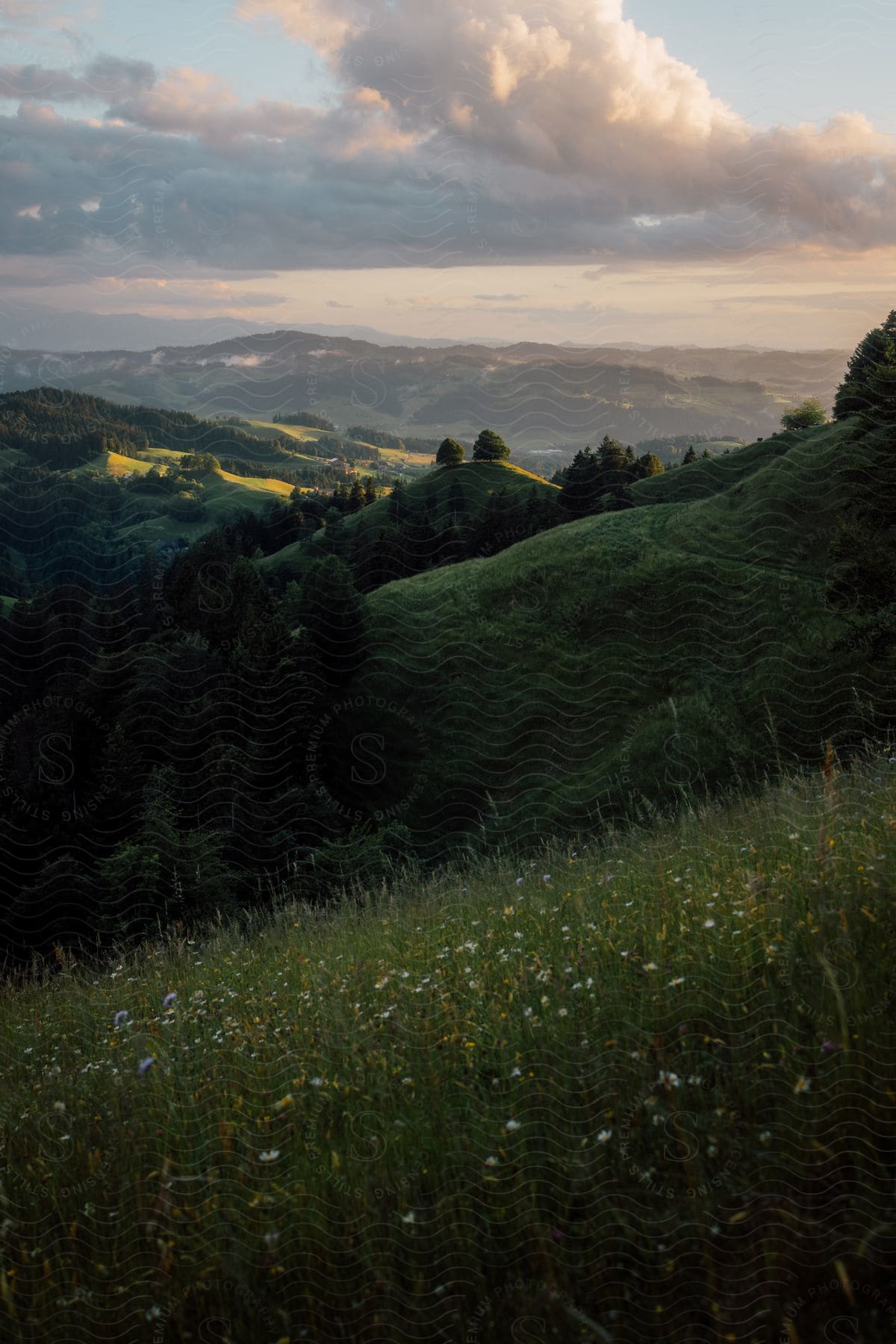 Green rolling hills under cloudy skies at dawn