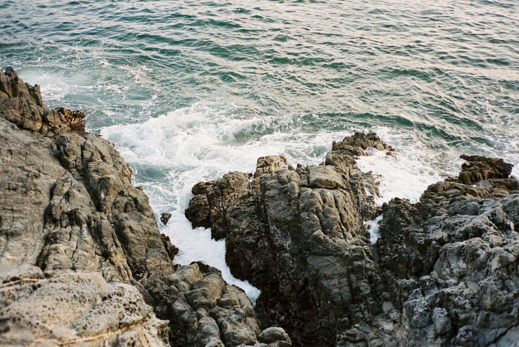 Waves crashing on jagged rocks in the daytime from a hill above