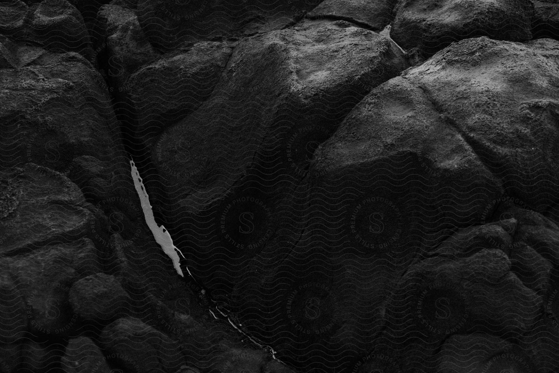 A black and white image of lake tahoe with a wooden and grey bedrock foreground and an automotive tire