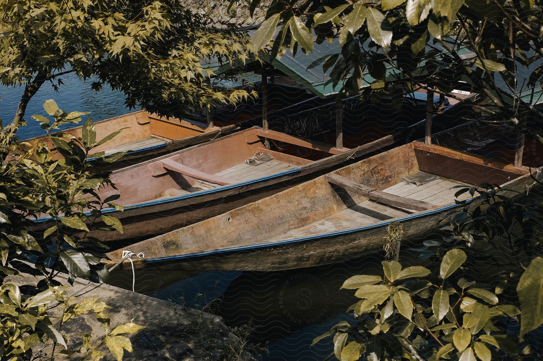 Canoe on the river bank surrounded by trees