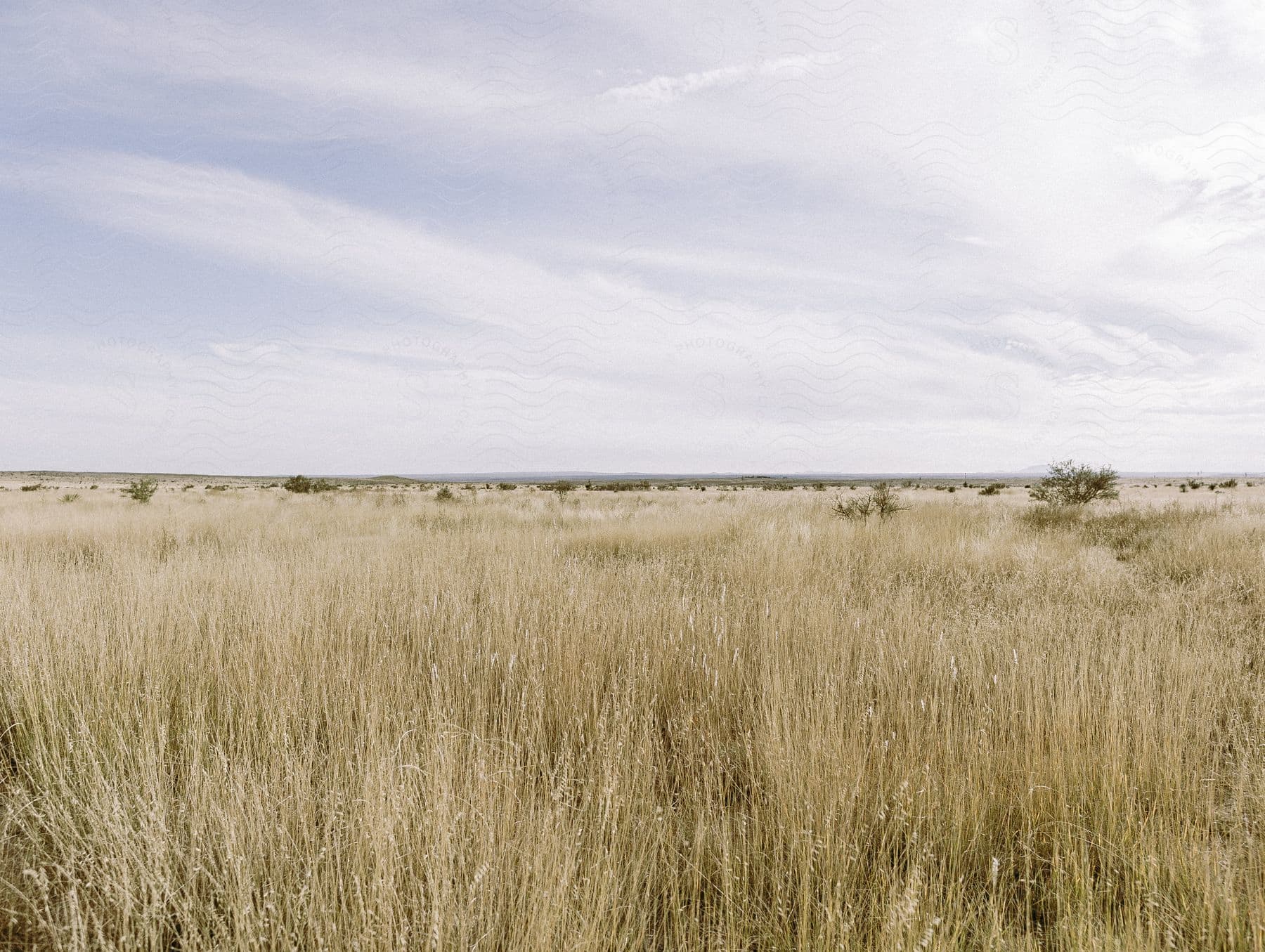 Grasslands and plains with clouds above them