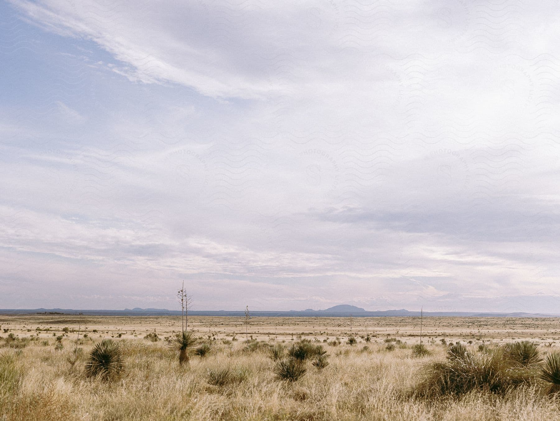 A dry desolate flat desert under a thin cloudfilled sky in west texas