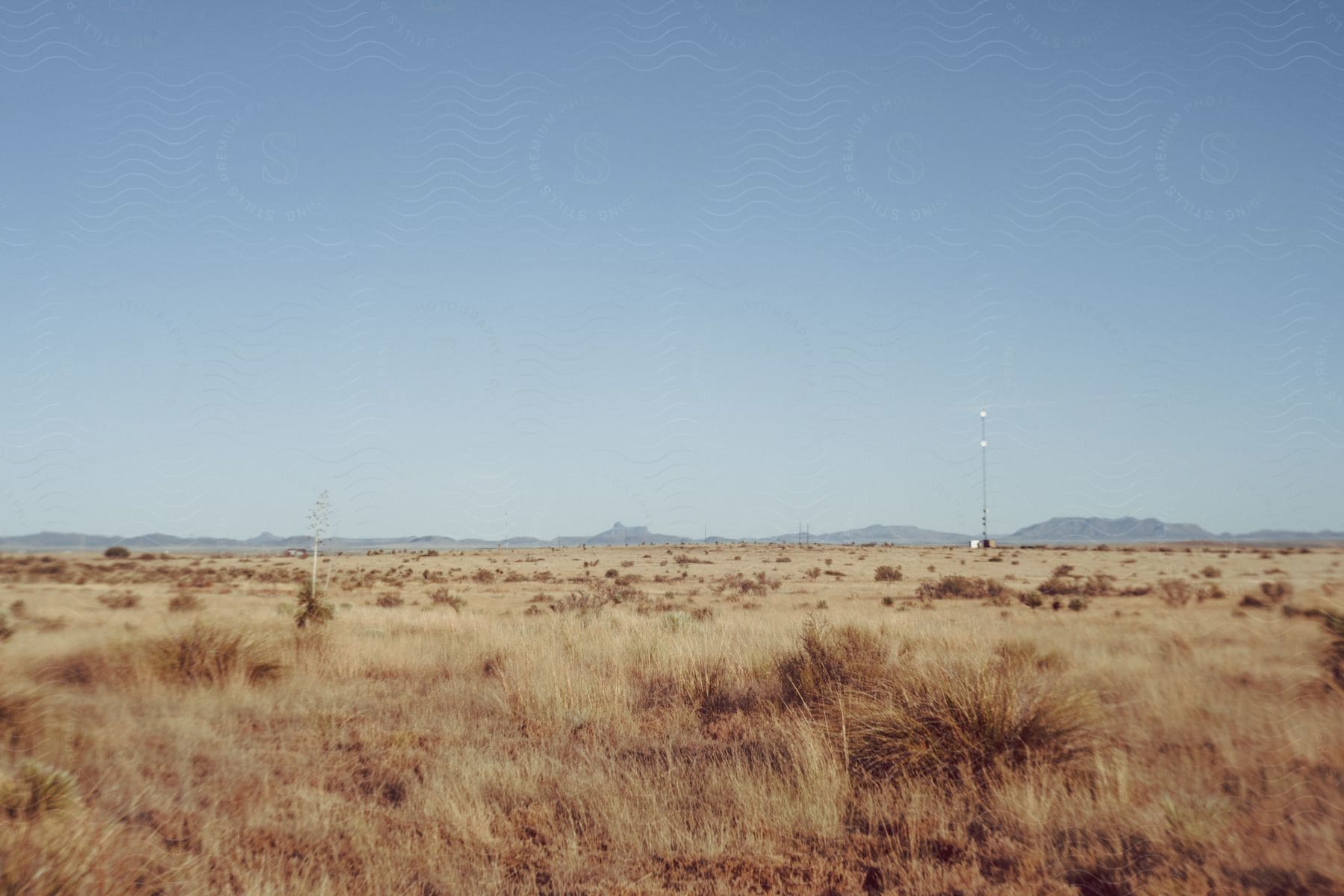 Landscape featuring a grassy field with mountains in the distance