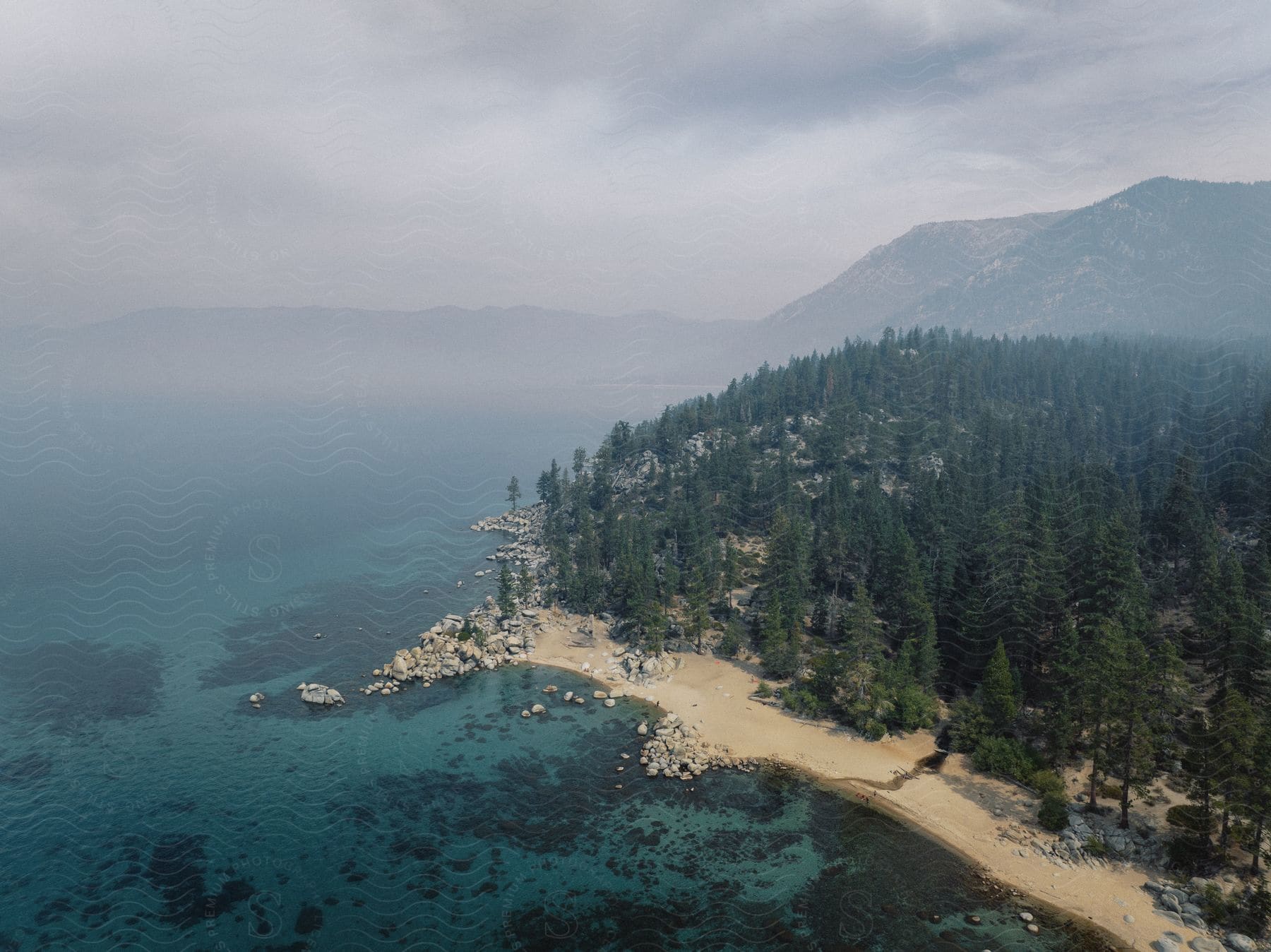 A coast with trees extends to the ocean