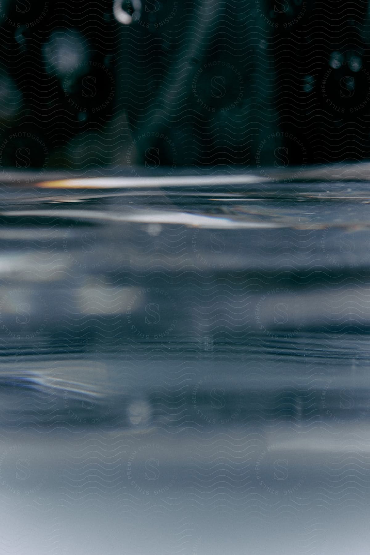 Close up of ripples on the surface of a calm pond in nature