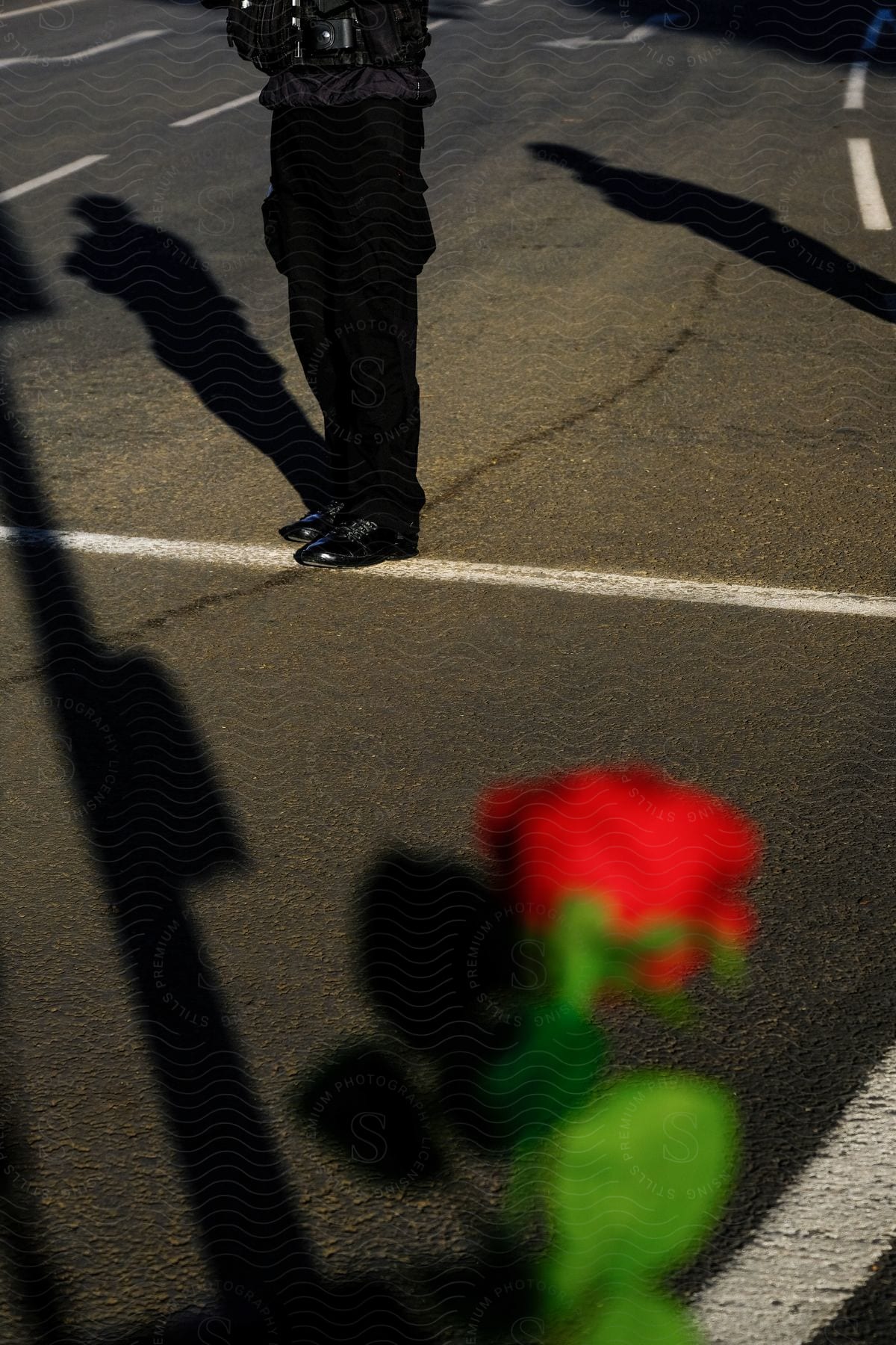 A persons lower body stands in the road casting a shadow of themselves and an unseen person with a rose and its shadow in the foreground