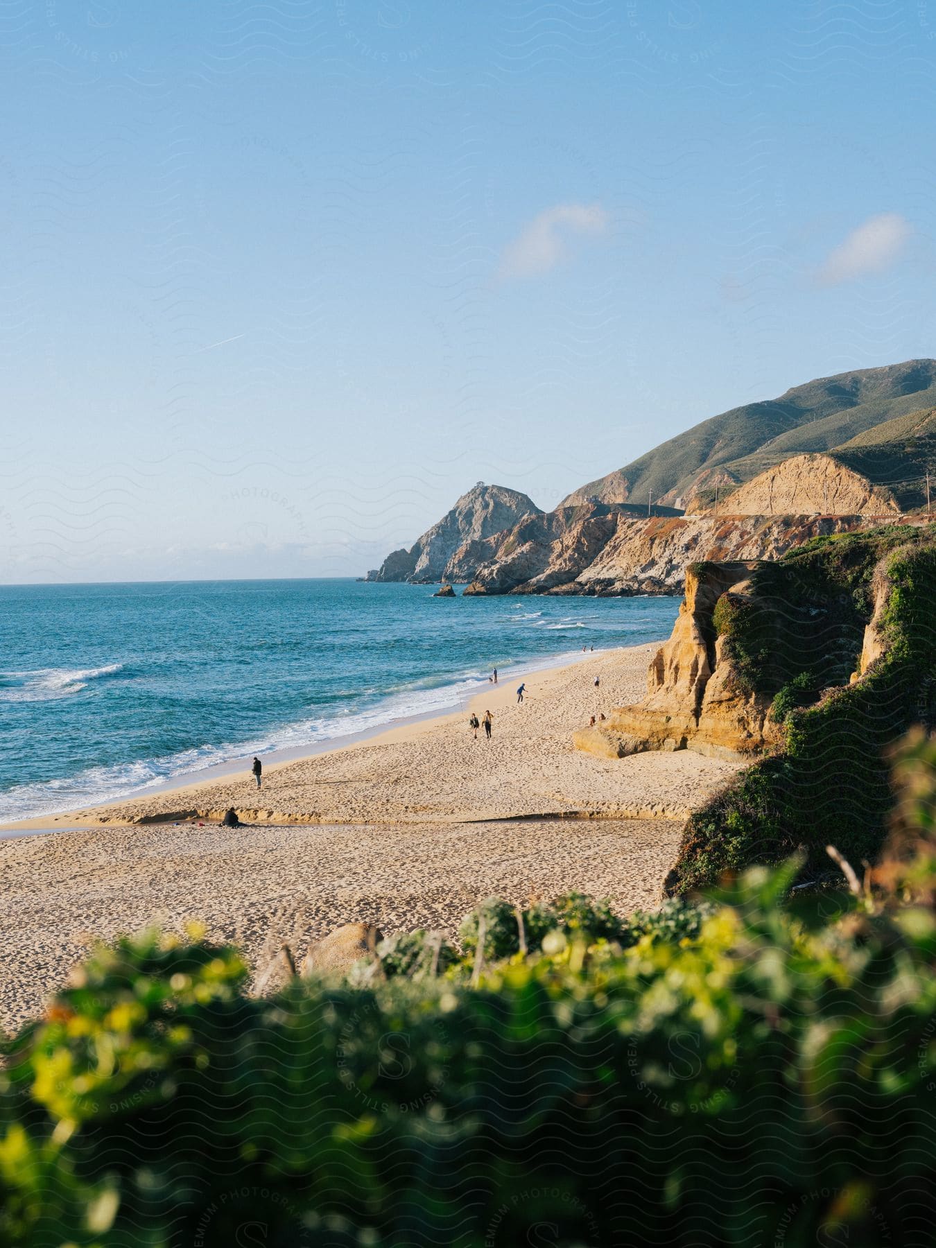 People Walking On The Beach Coast During Midday