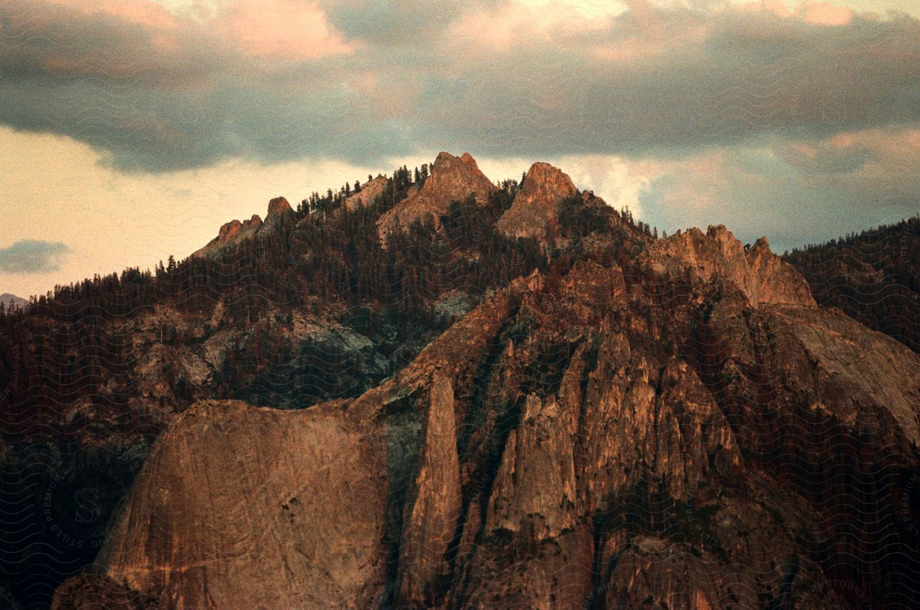 Trees on mountain ridge under cloudy sky