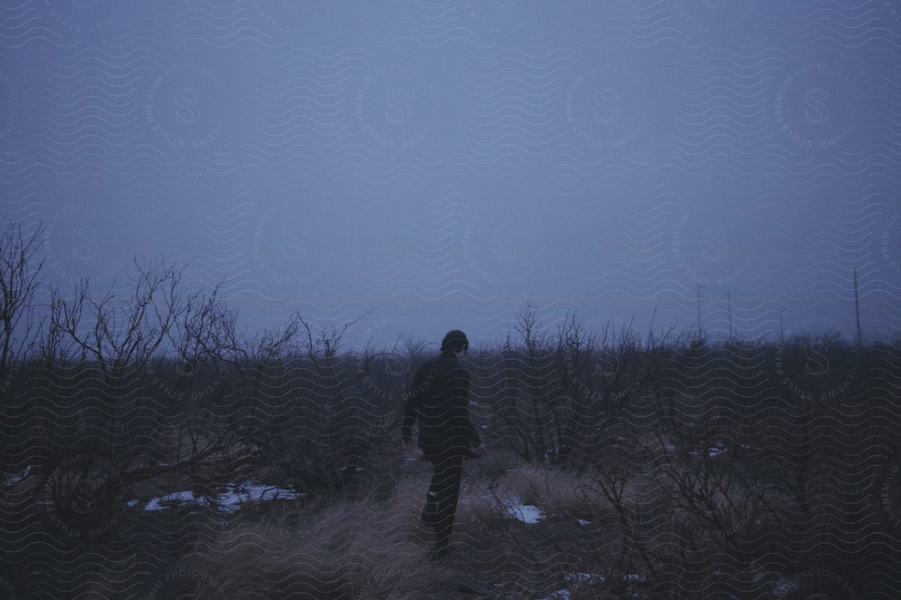 A person walking in a foggy wilderness