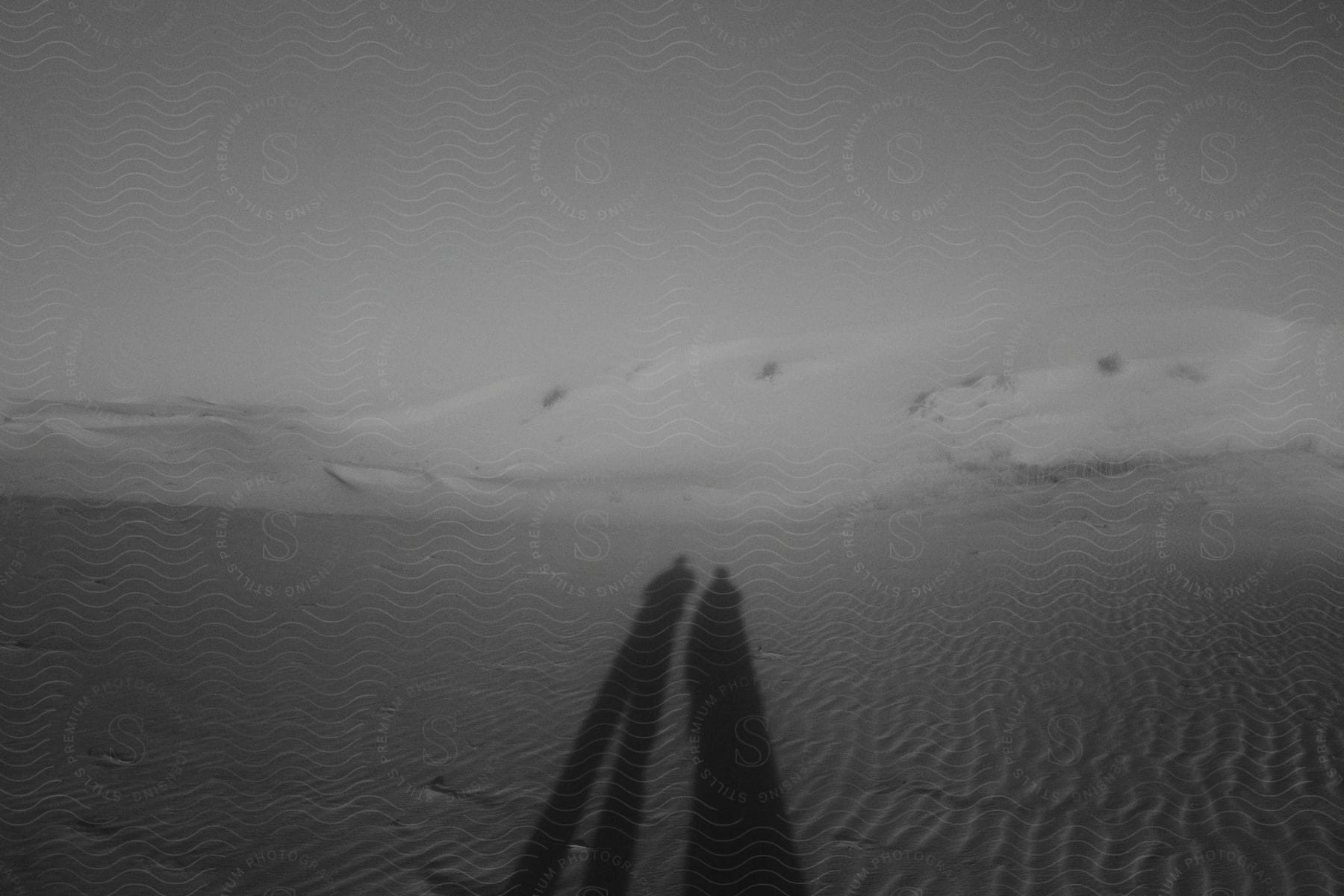 Two people cast tall shadows against a snowy mountain backdrop