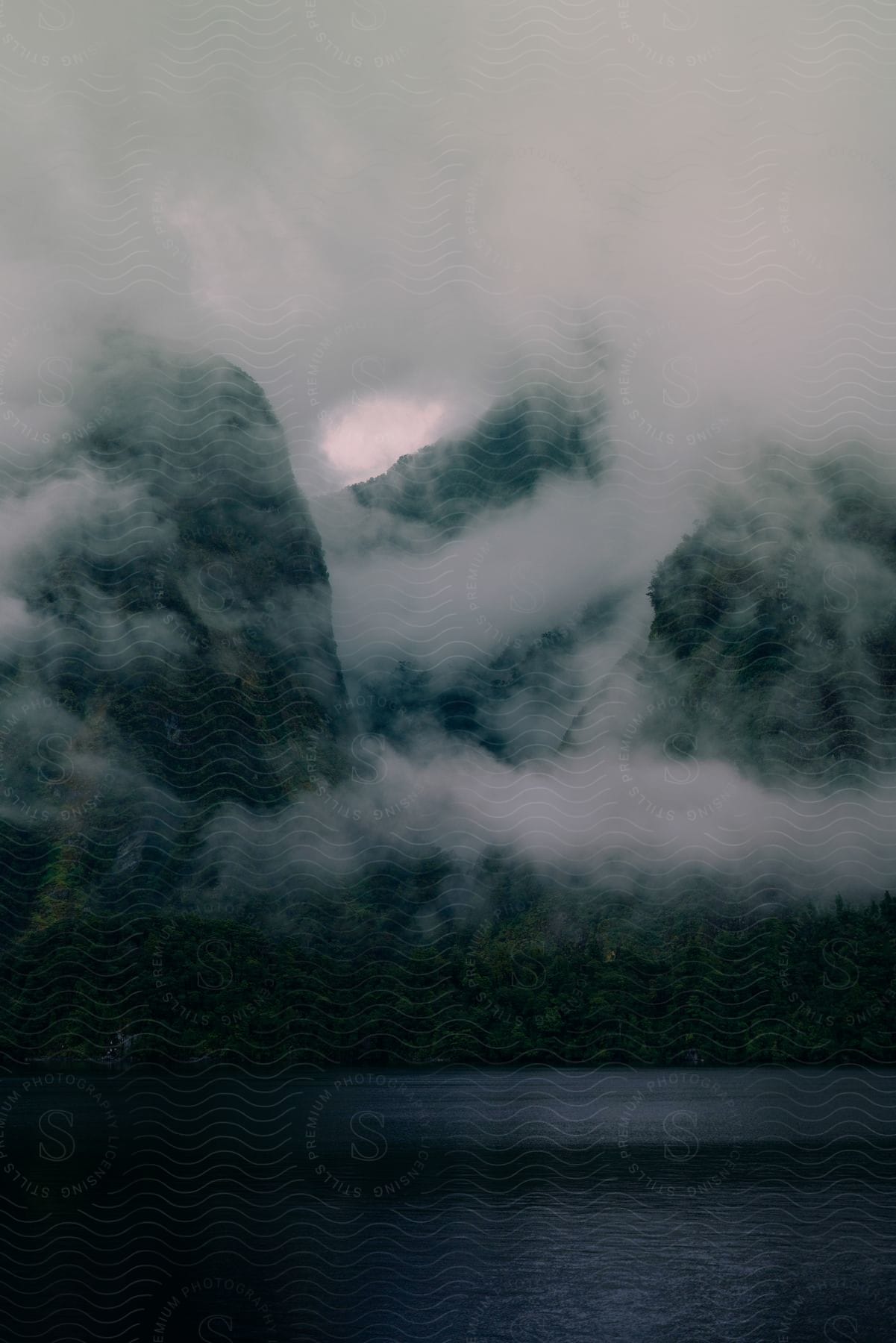 A river flows alongside forests at the foot of mountains covered in clouds