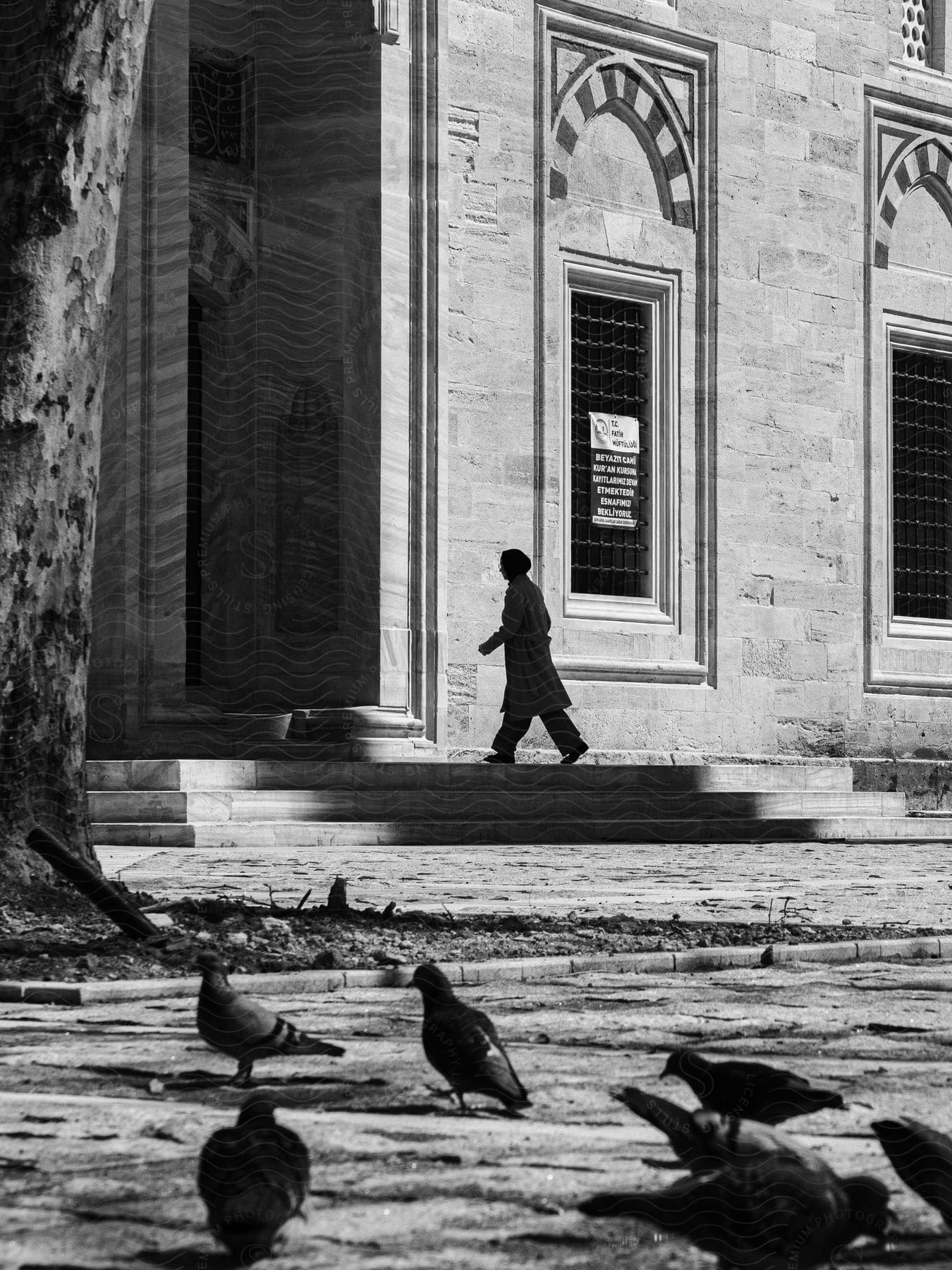 Man walking towards a building in a park with pigeons wearing a long coat