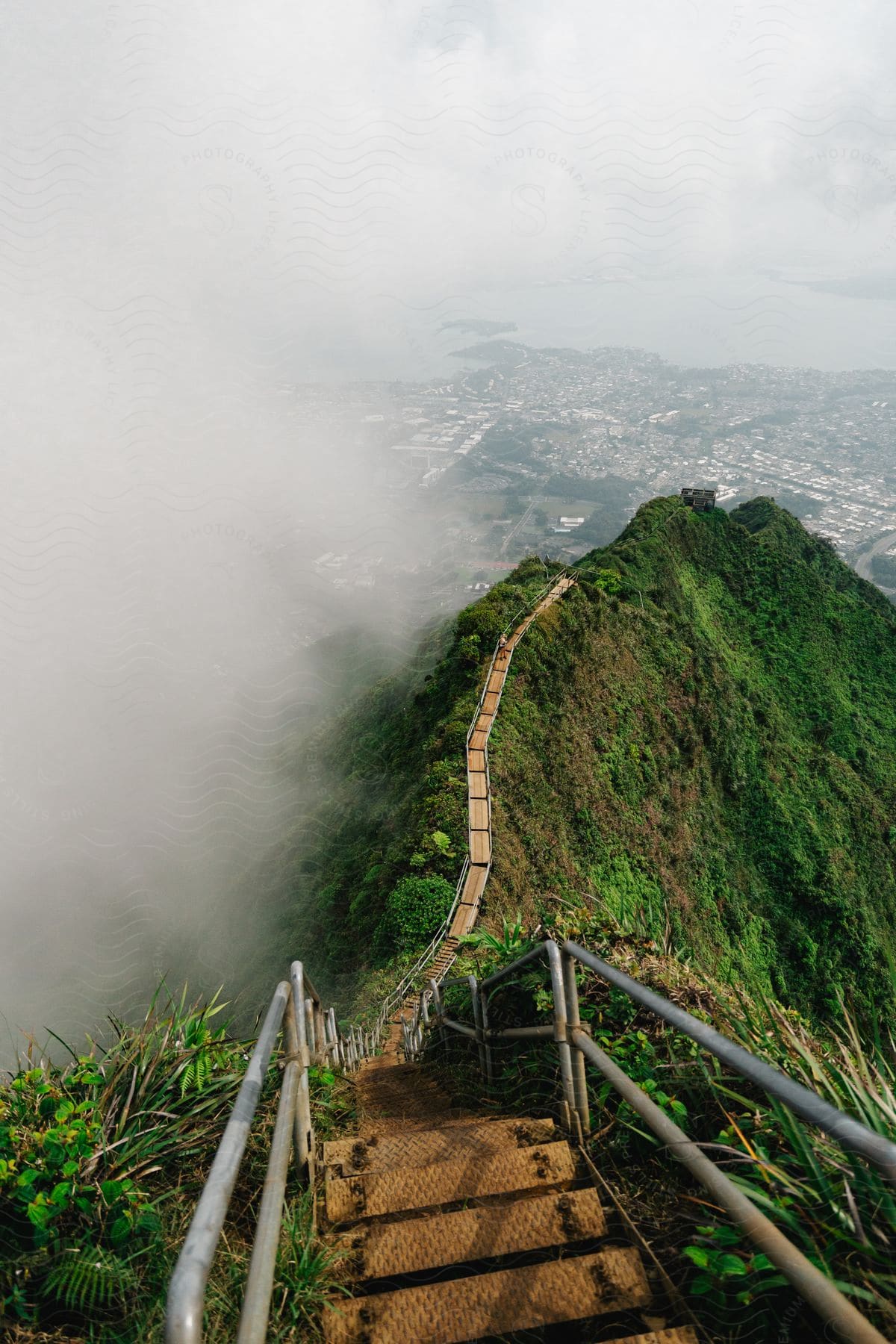 A grassy path winds along a ridge above a lakeside city