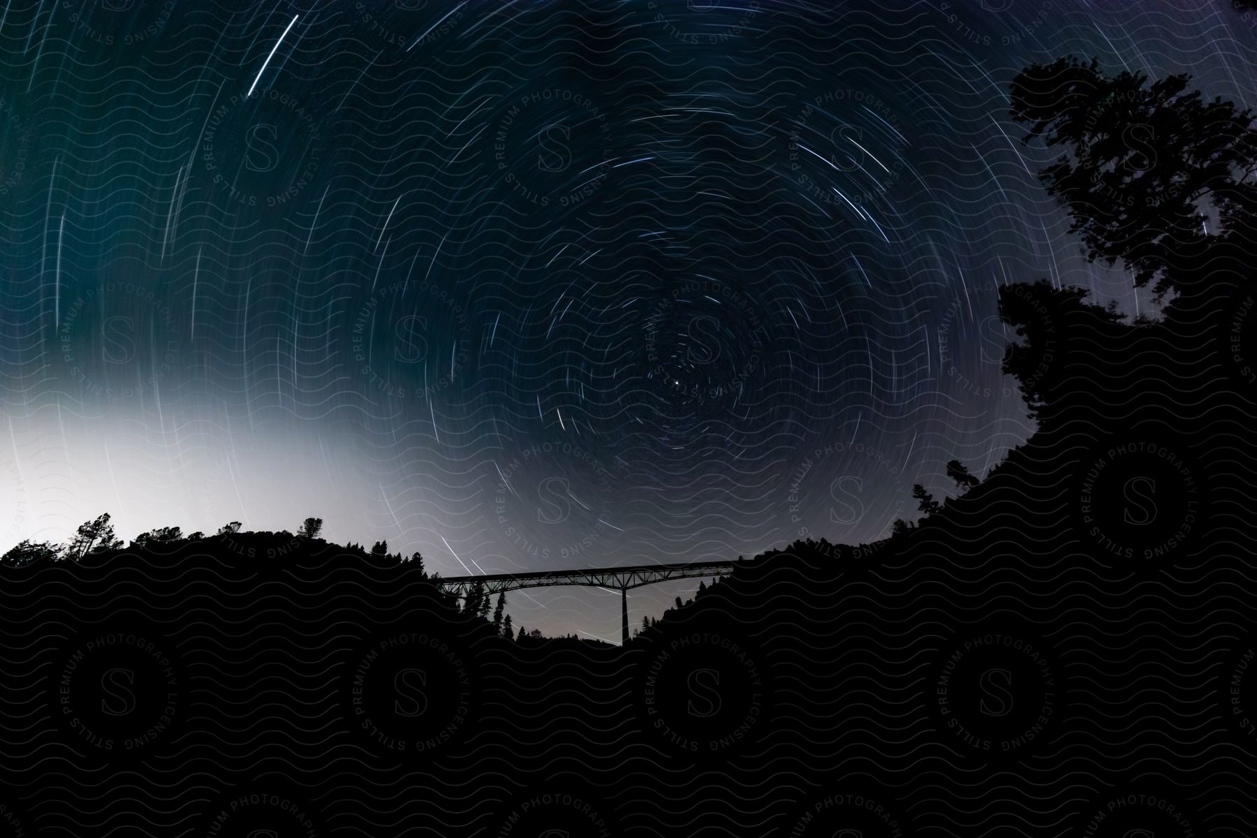 Forest and bridge silhouetted against the starry sky at night in deception pass state park