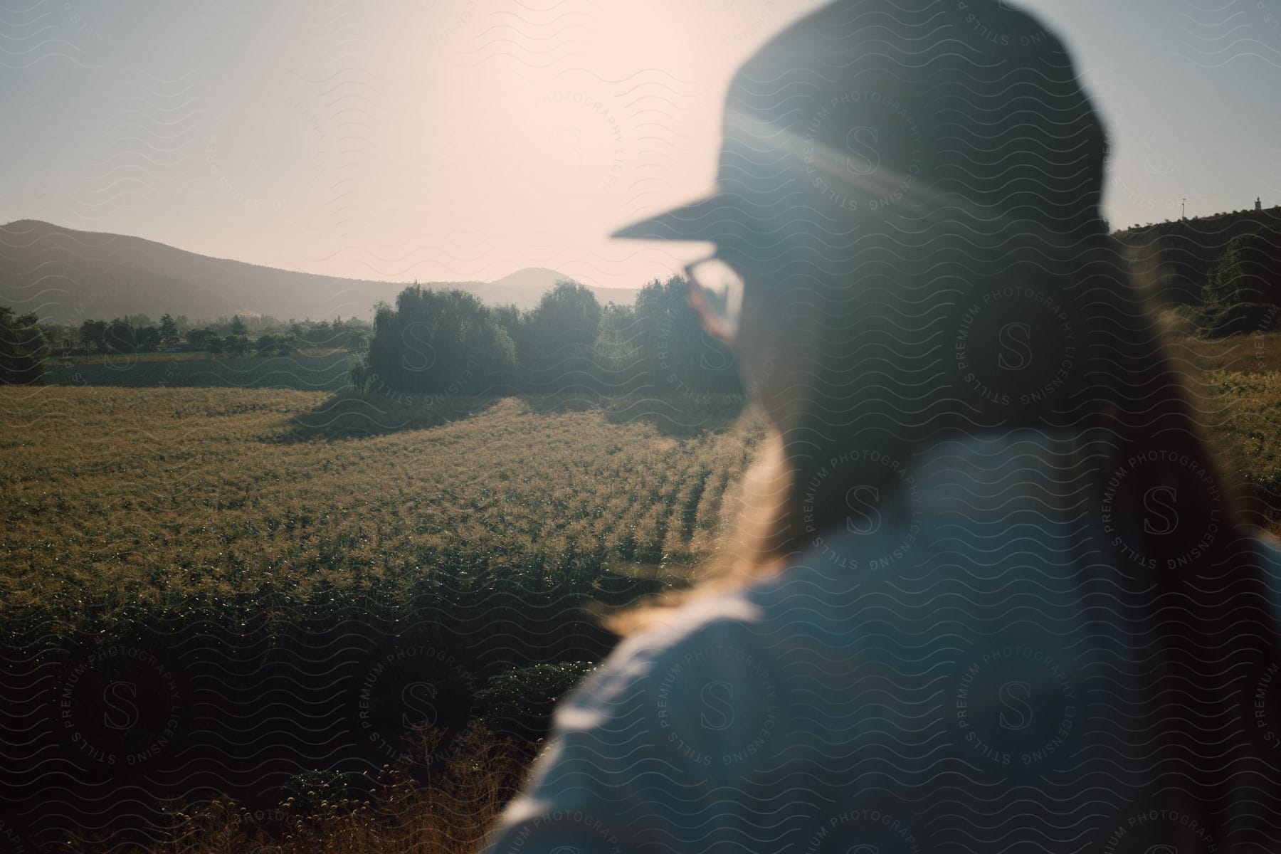 A woman in a hat gazes at a field of crops in the distance under sunlight