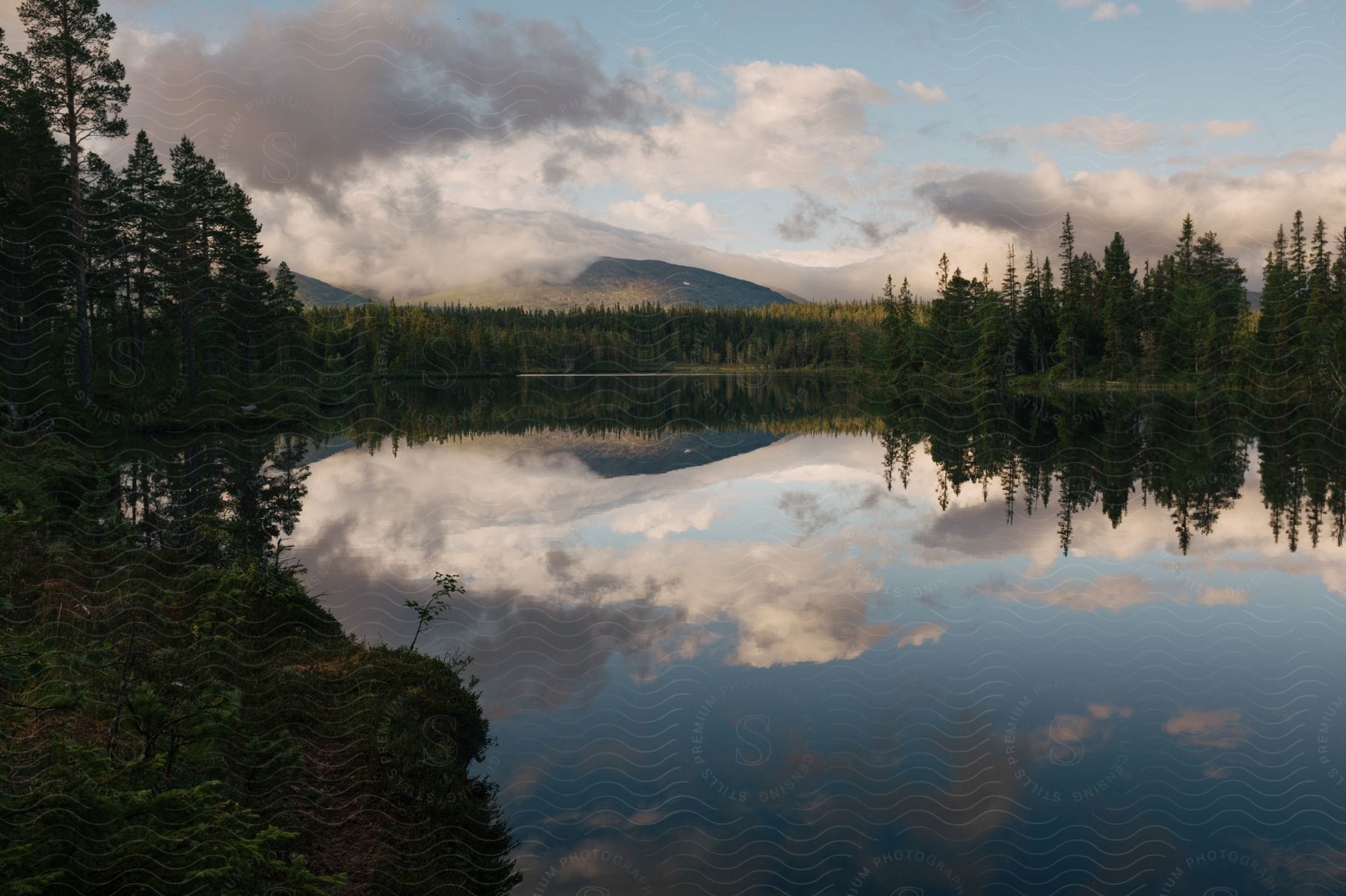 A reflection of cloudy sky in a treesurrounded lake