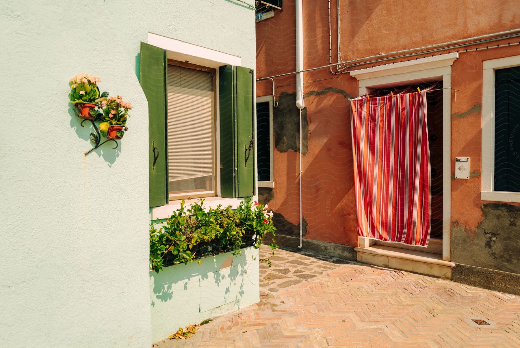 A home entrance with a window and flowers in the middle of the street