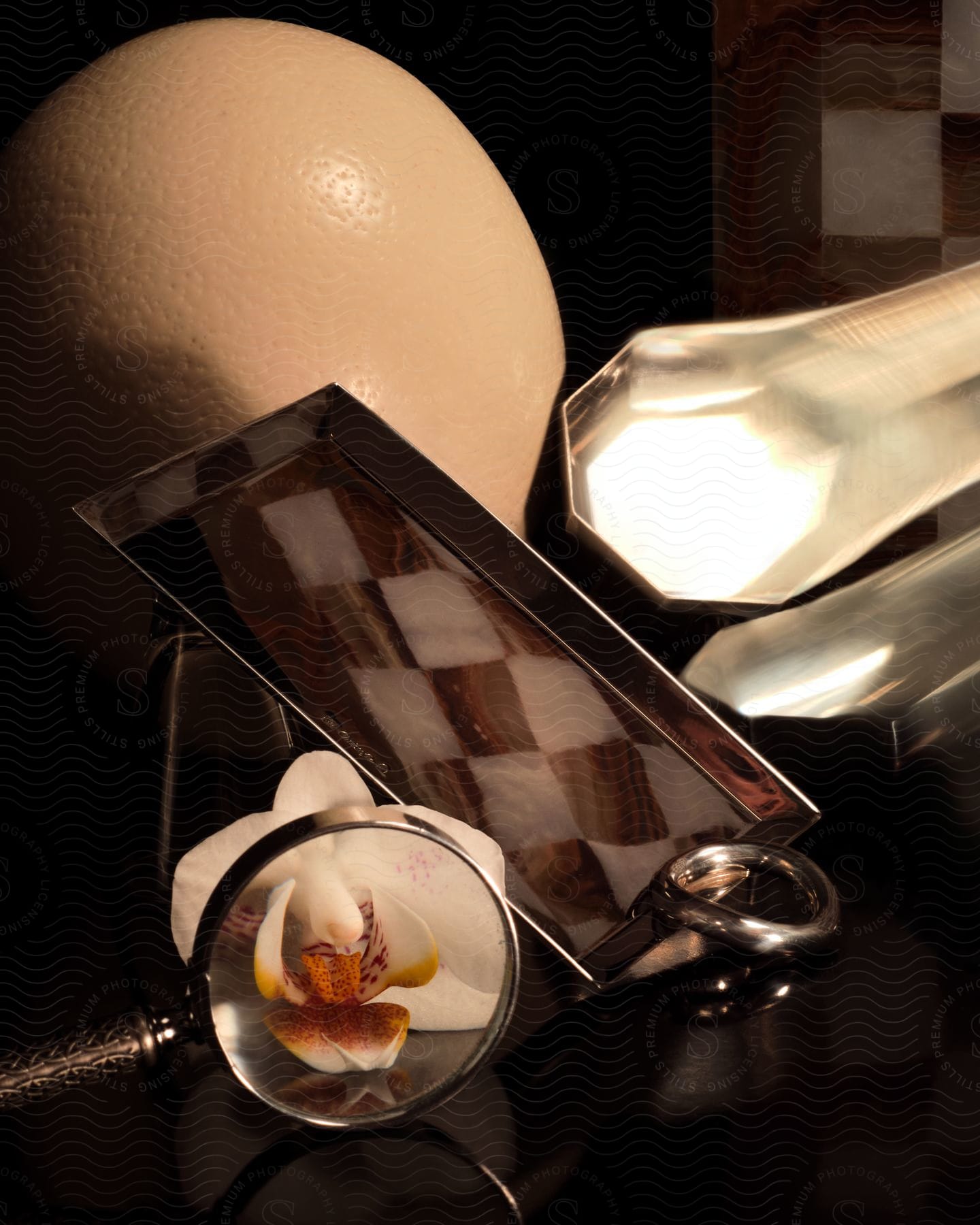 Still life composition featuring a magnifying glass orchid tray ring and various objects