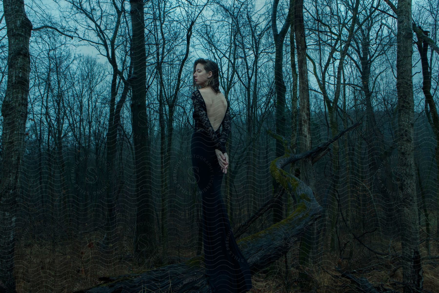 A young woman in a black openedback dress standing in darkened woods at dusk