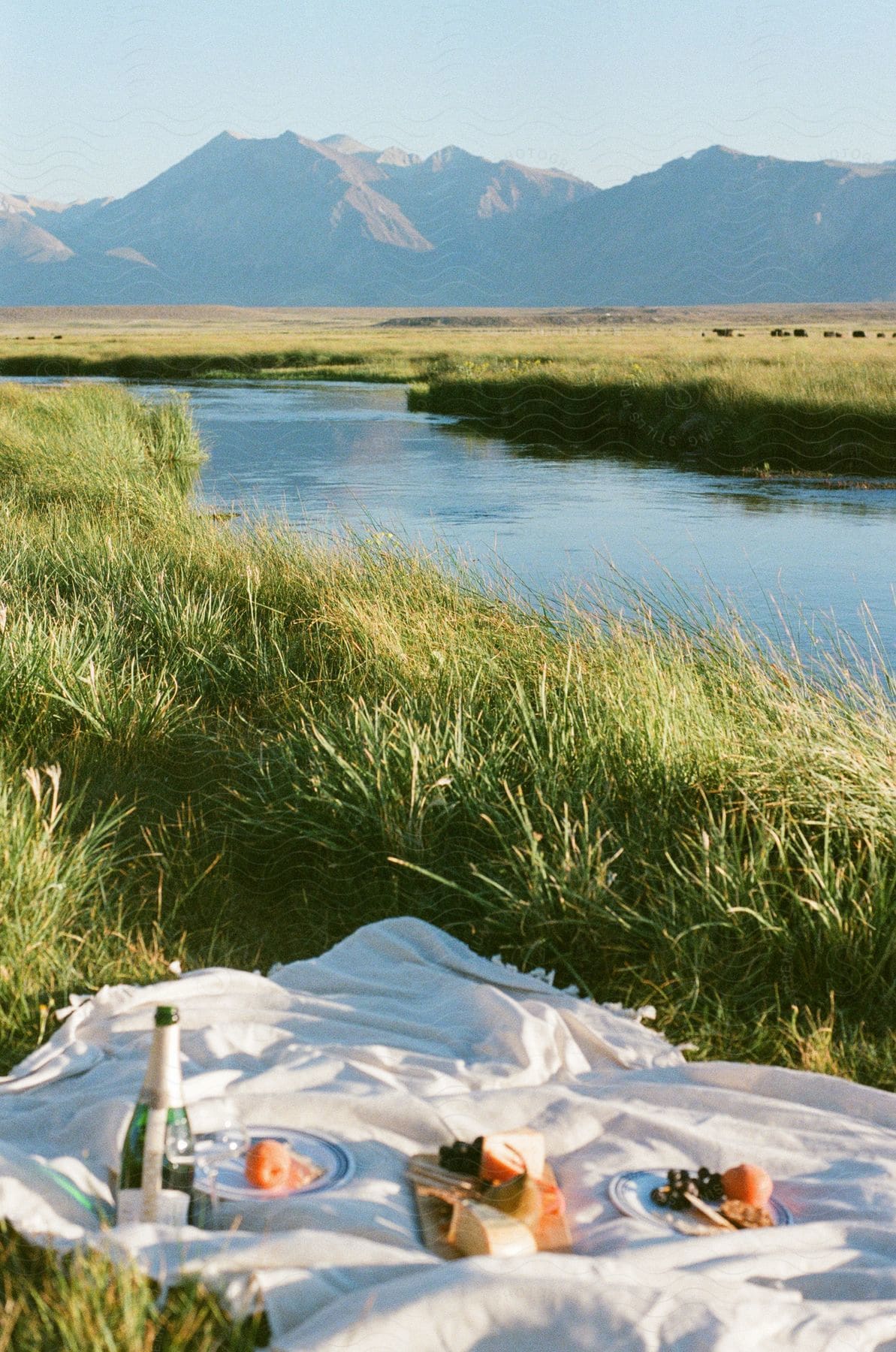 A picnic is set up along a river in the outdoors during the day featuring food and the natural landscape