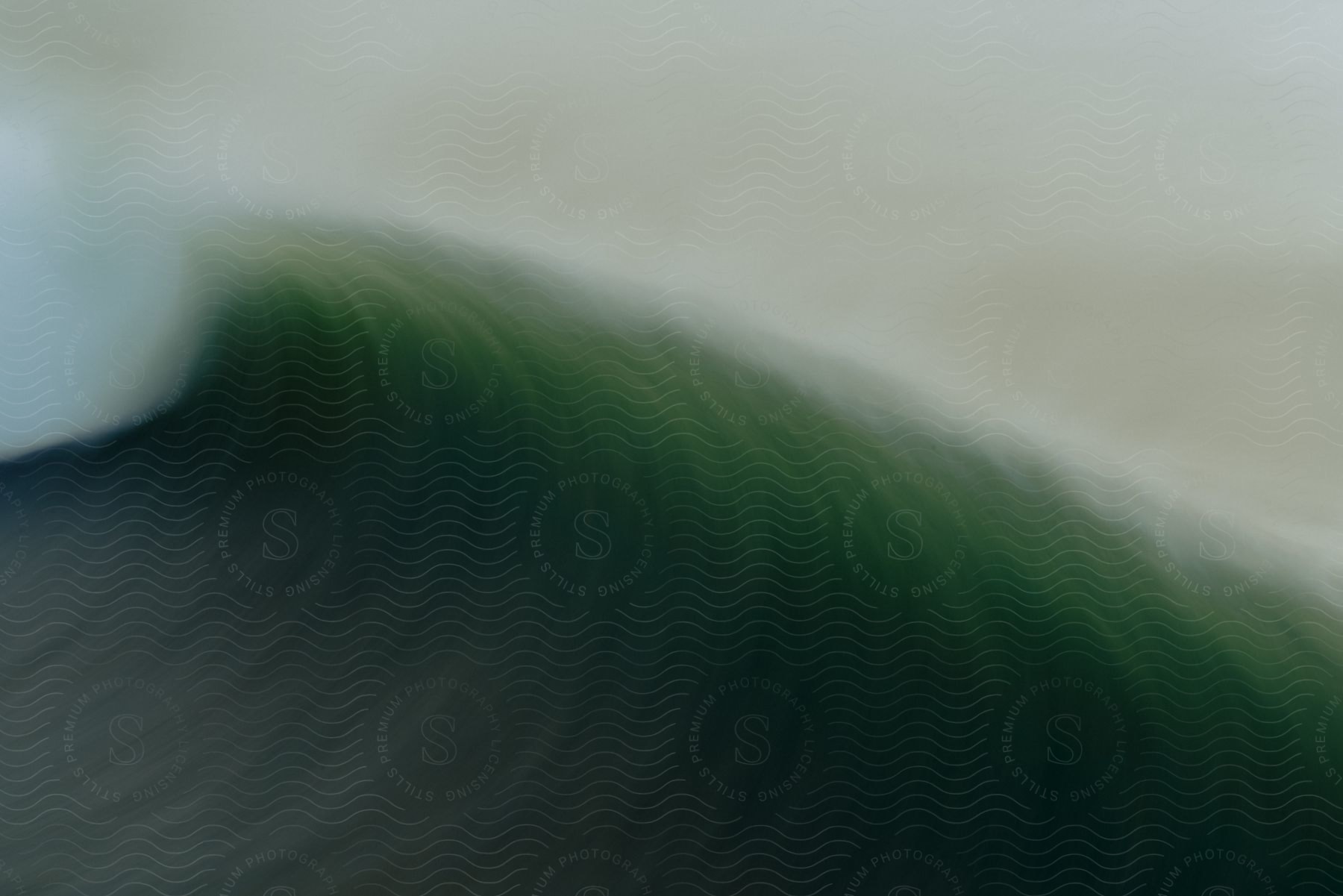 A large wave forms in the ocean