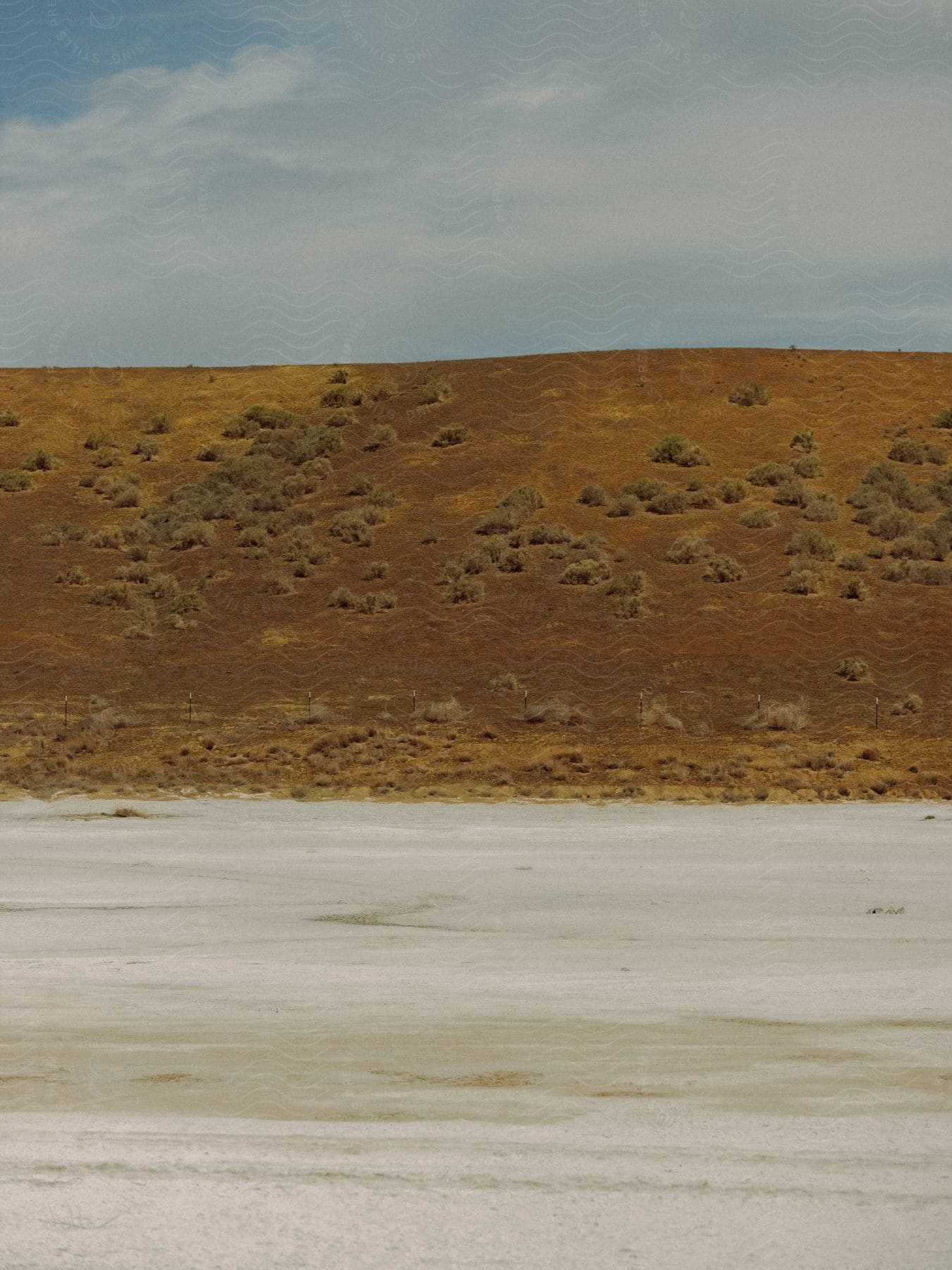 A brown desert hillside with scattered desert bushes adjacent to a sandy white salt plain