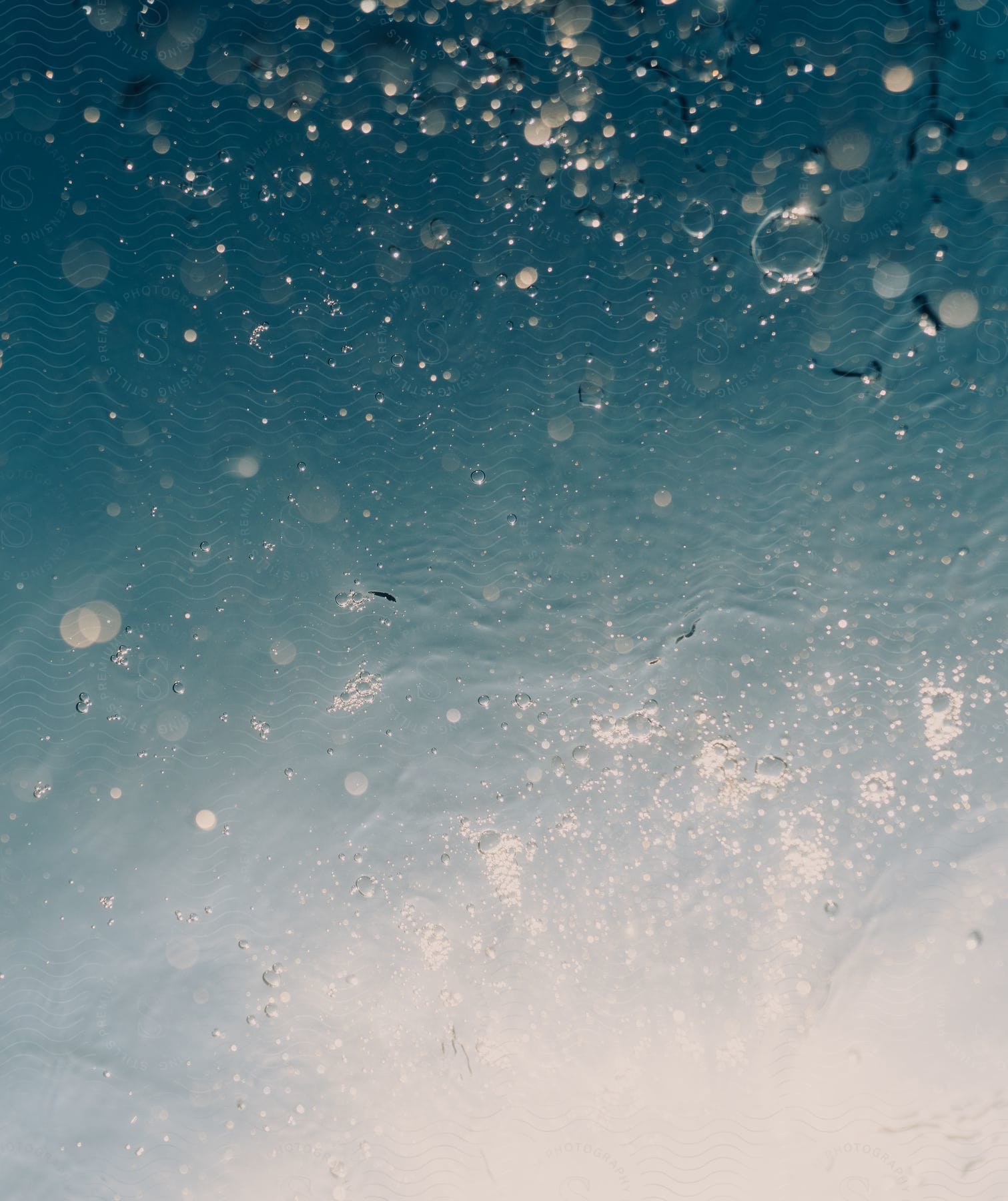 Sunlight shines on ocean water in a closeup shot