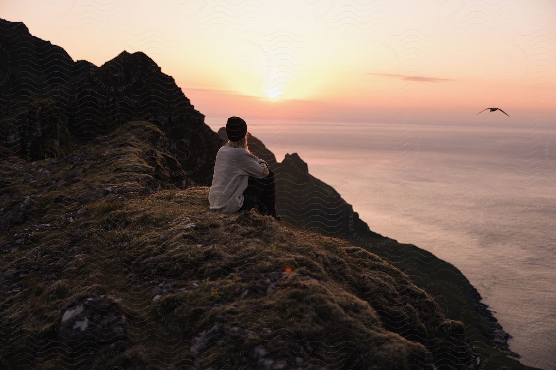 A woman sits by the coast watching the sunset over the water as a seagull flies nearby