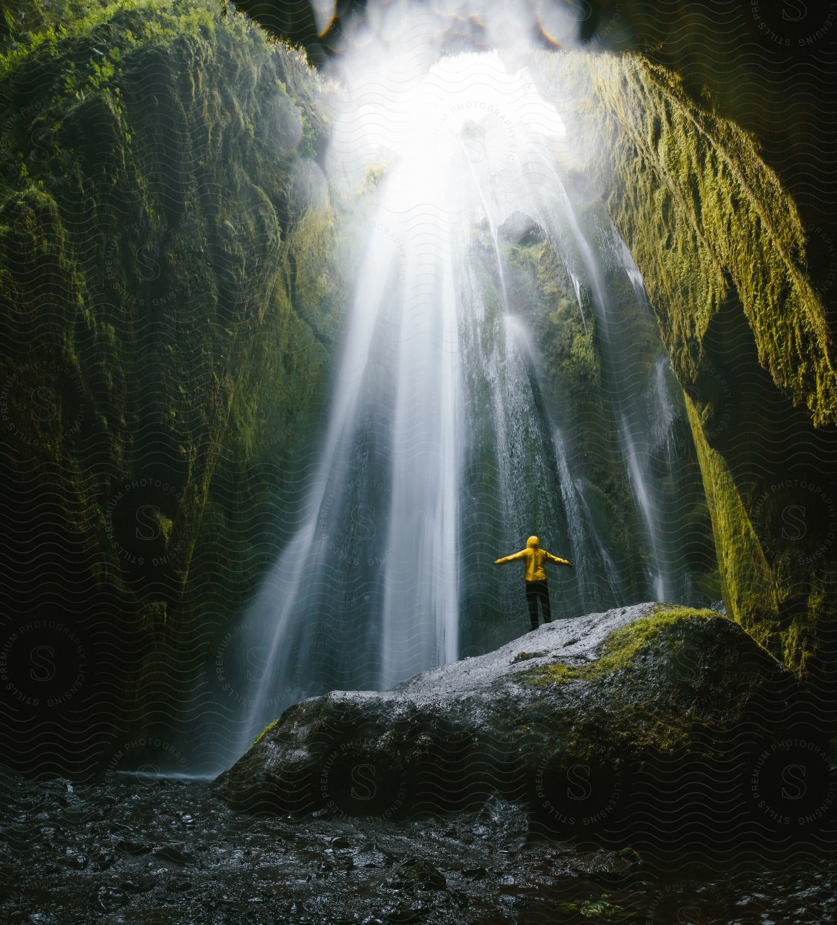 A person standing in a lush rainforest with a waterfall in the background