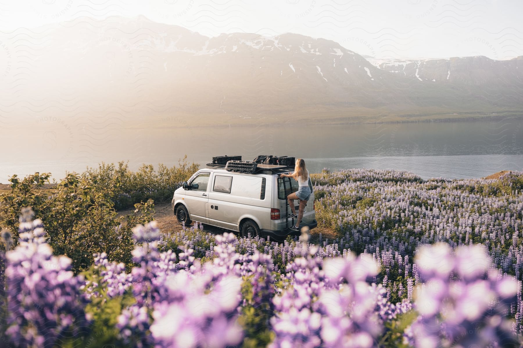 A woman climbs on the back of a van in a field of flowers next to a river with mountains in the background