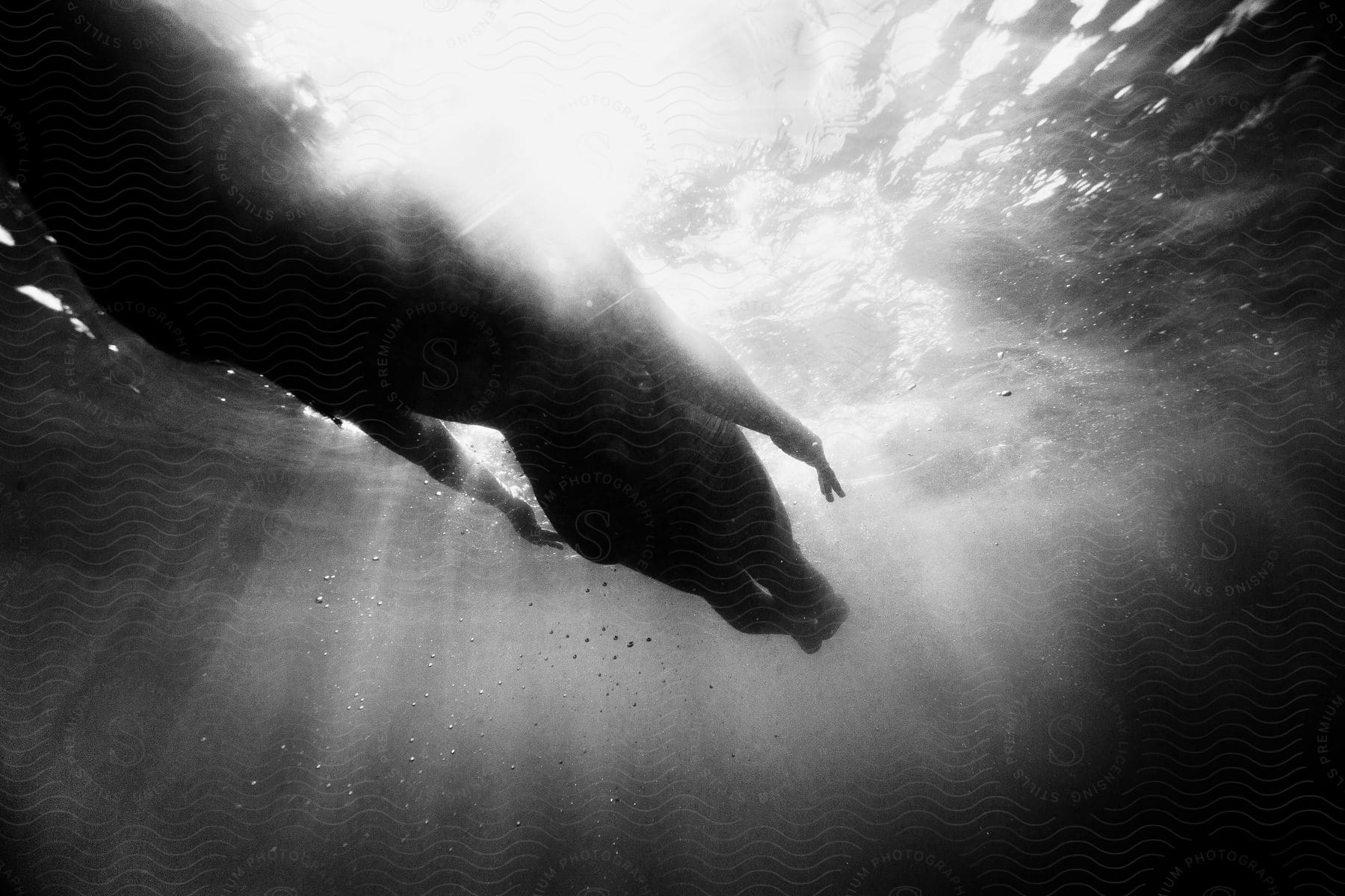 A person swimming in the ocean at night in a black and white photograph