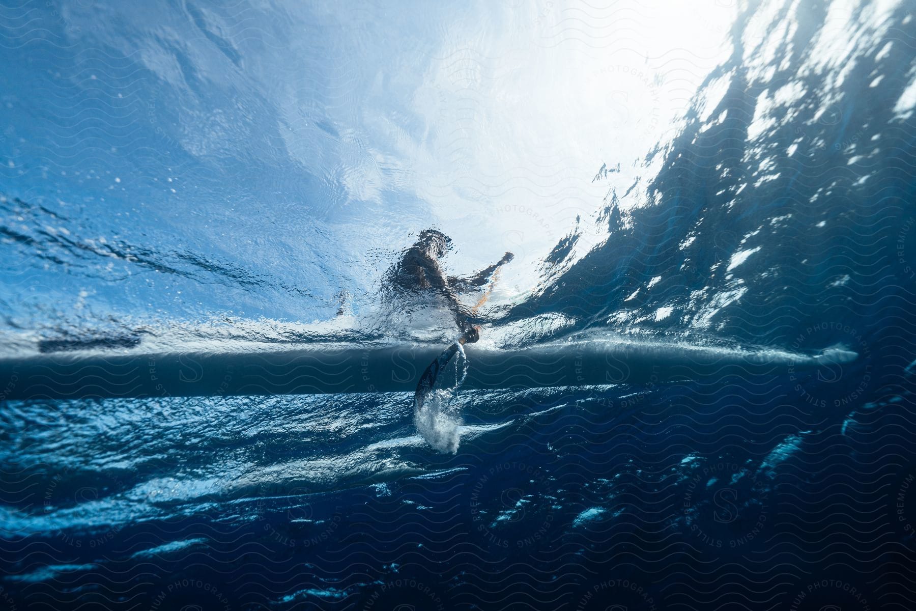 Man paddling a boat seen from under the water