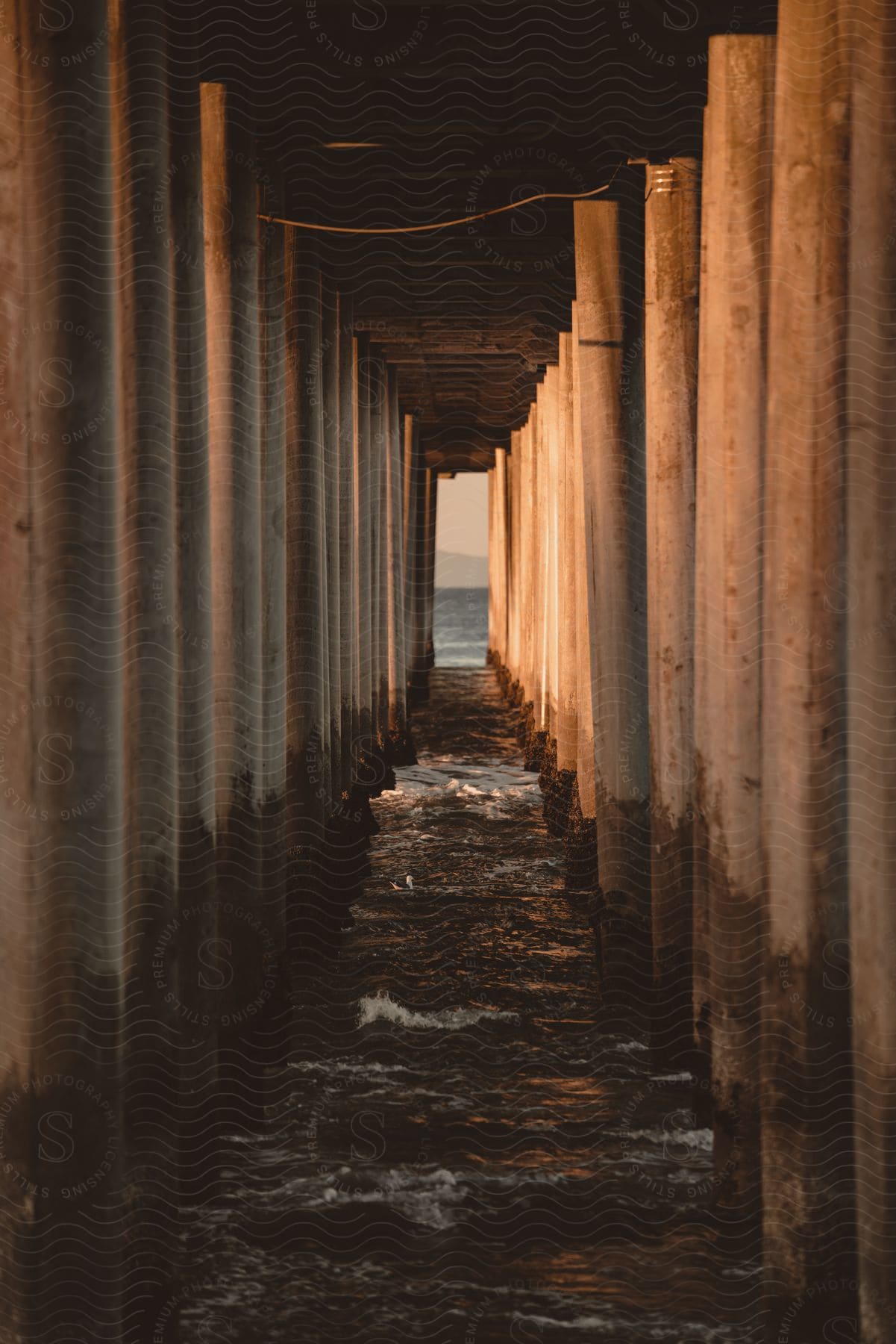 Pillars under a pier in california