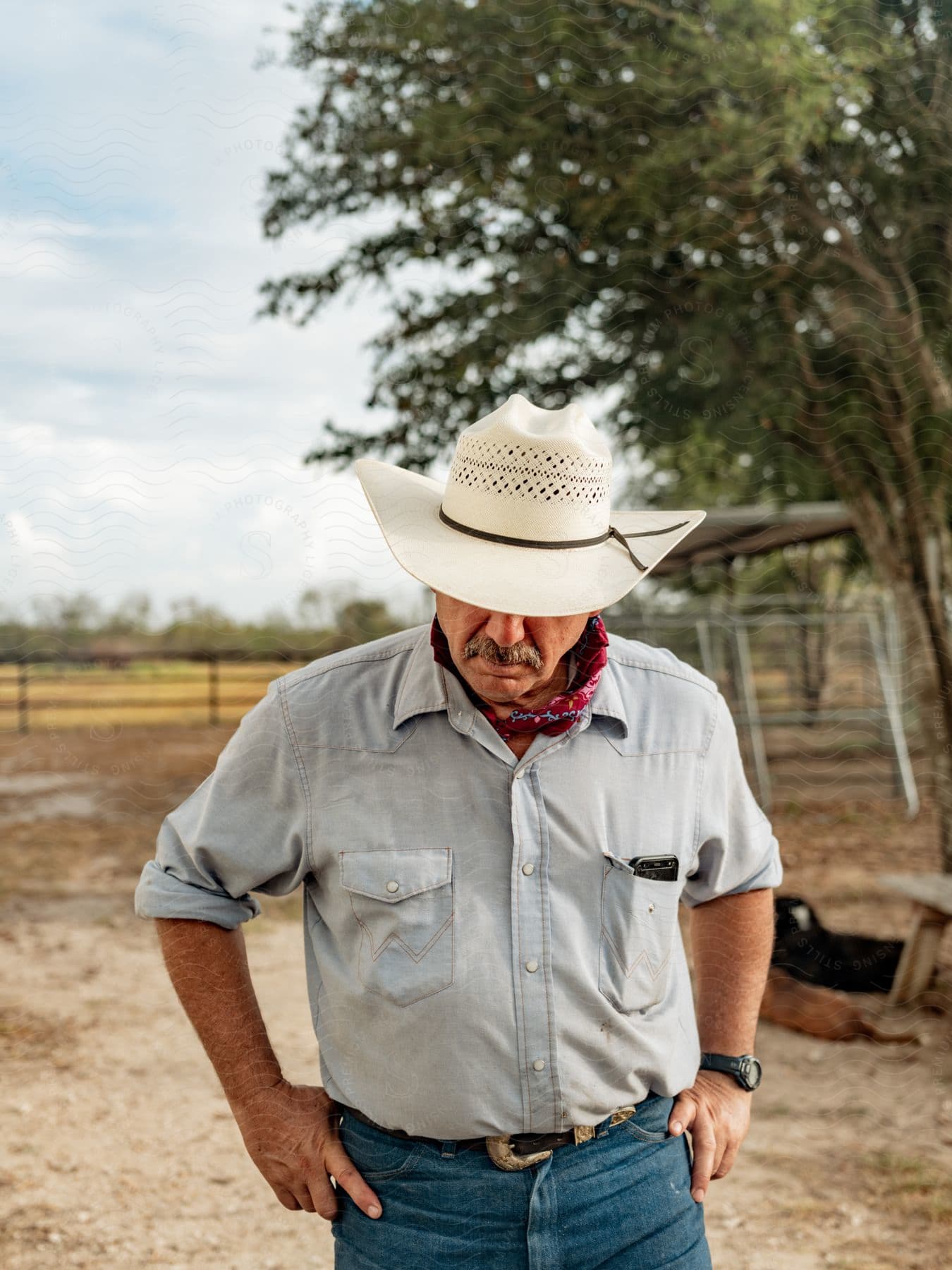 Cowboy in wornout jeans and hat stands in pasture embodying the spirit of the wild west