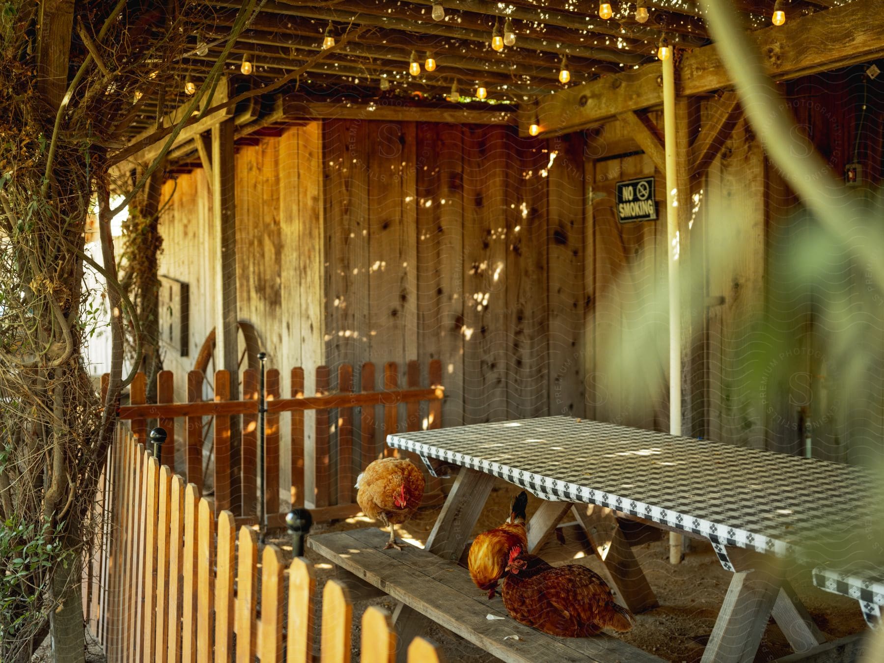 A Wooden Building In A Yard With A Chicken