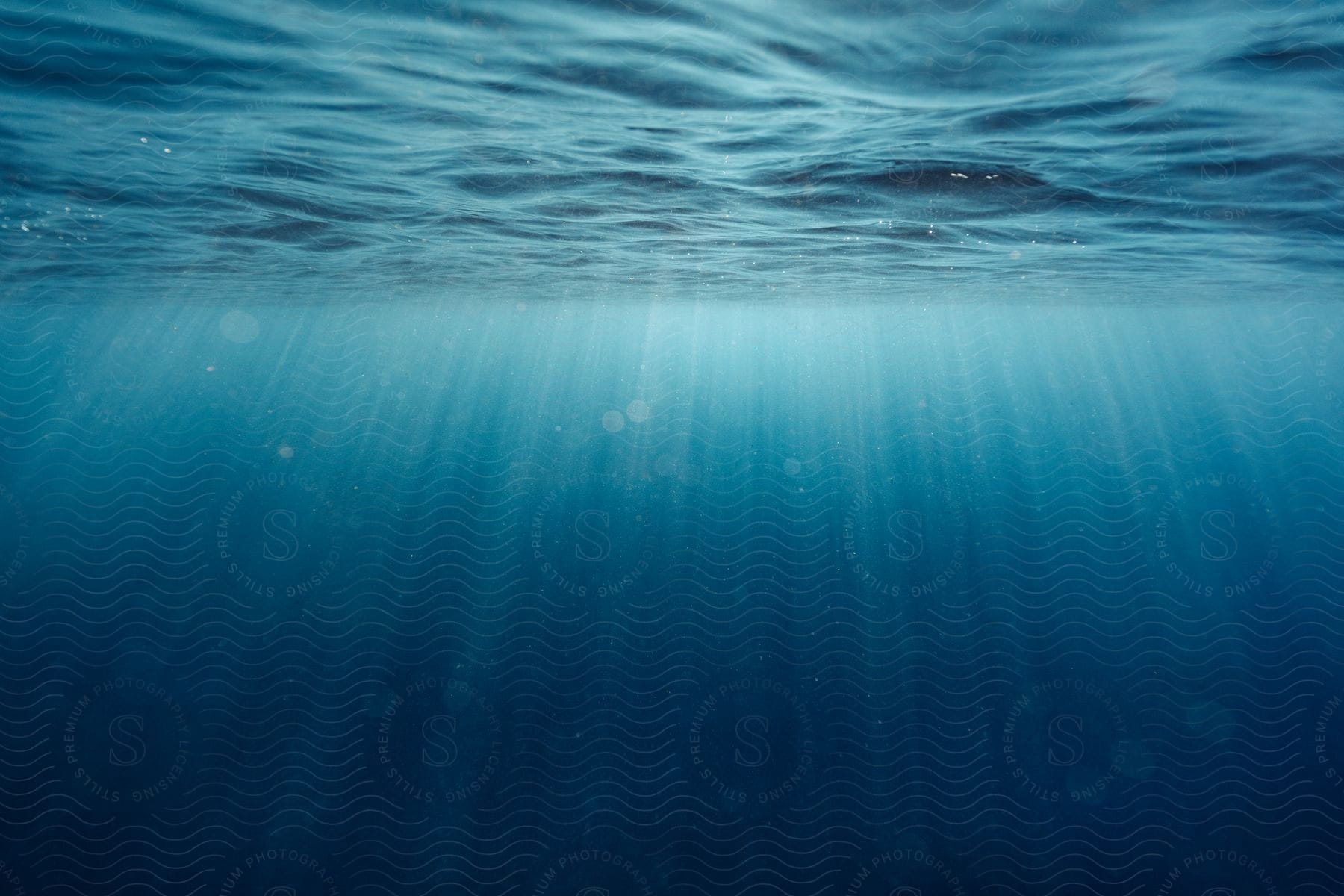 Underwater scene with a lakelike body of water and ocean floor