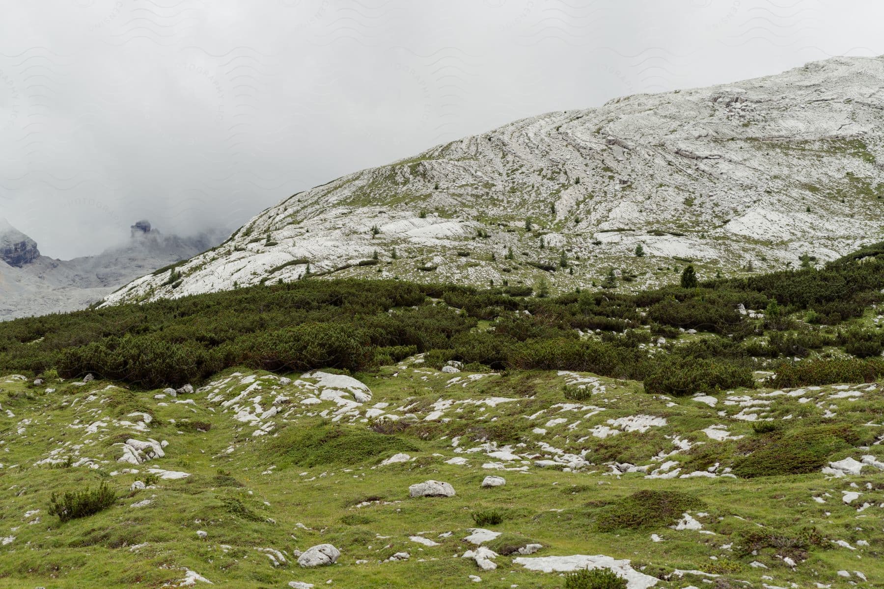 A scenic mountain landscape with trees rocks and grass