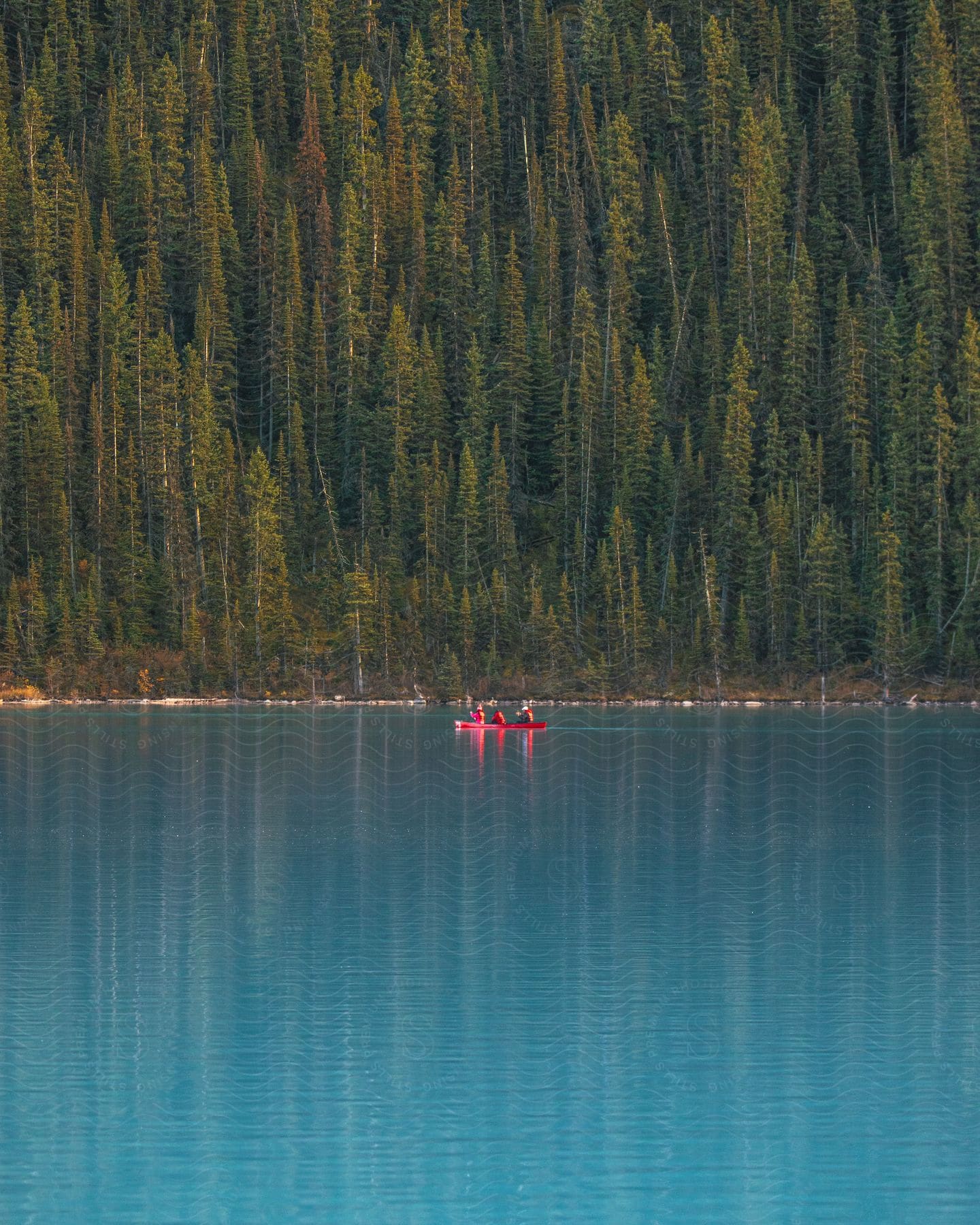 A person in a red canoe on a lake with forest scenery in the background