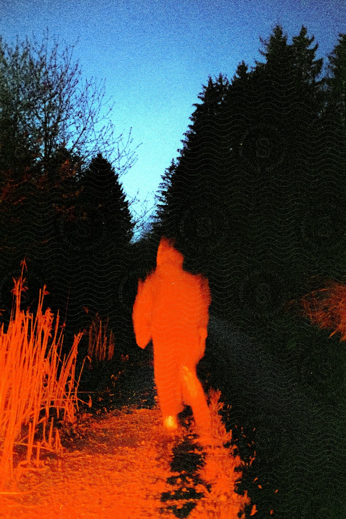 Man walks on forest road at night